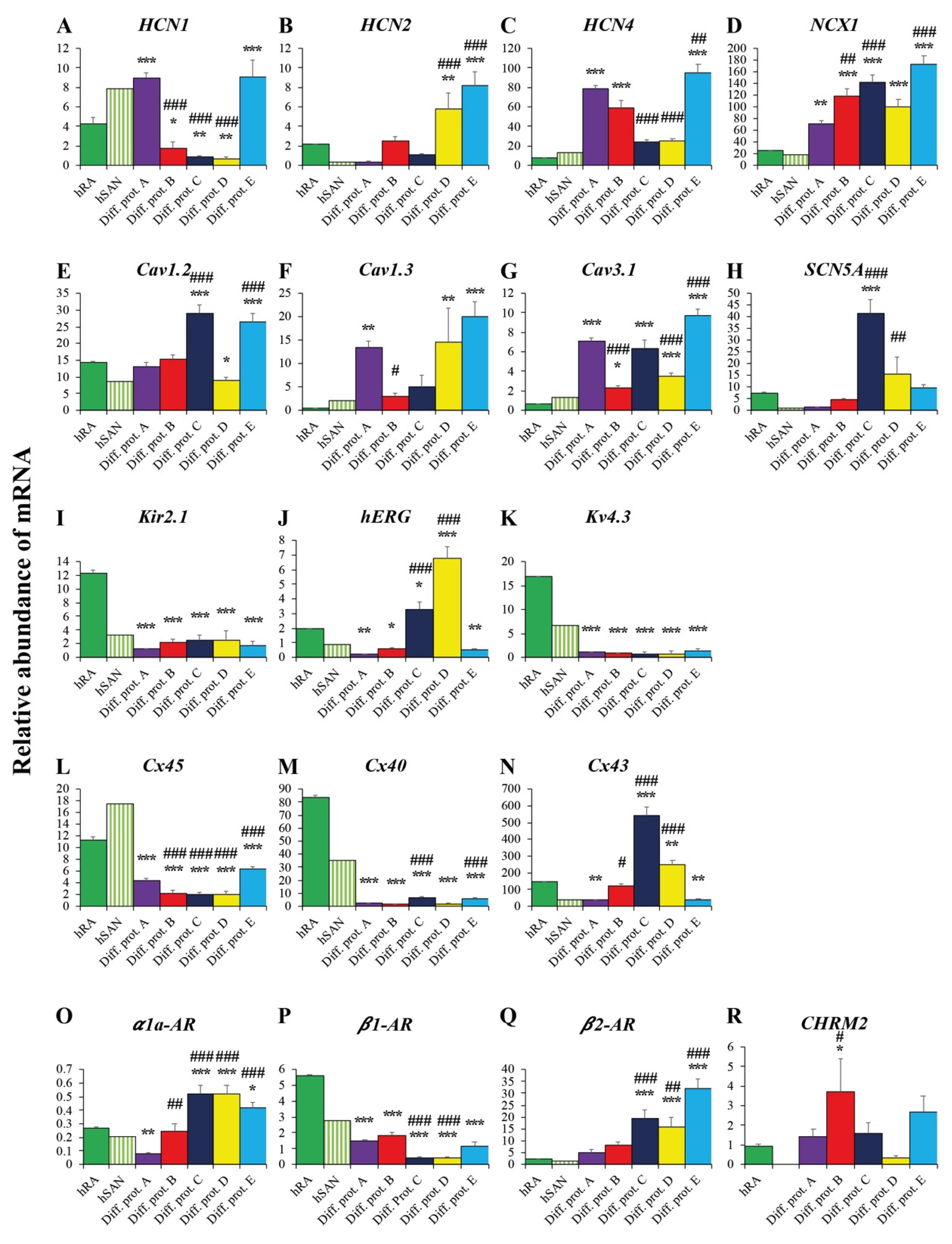 Ijms 23 07318 g004 Ijms 23 07318 g004