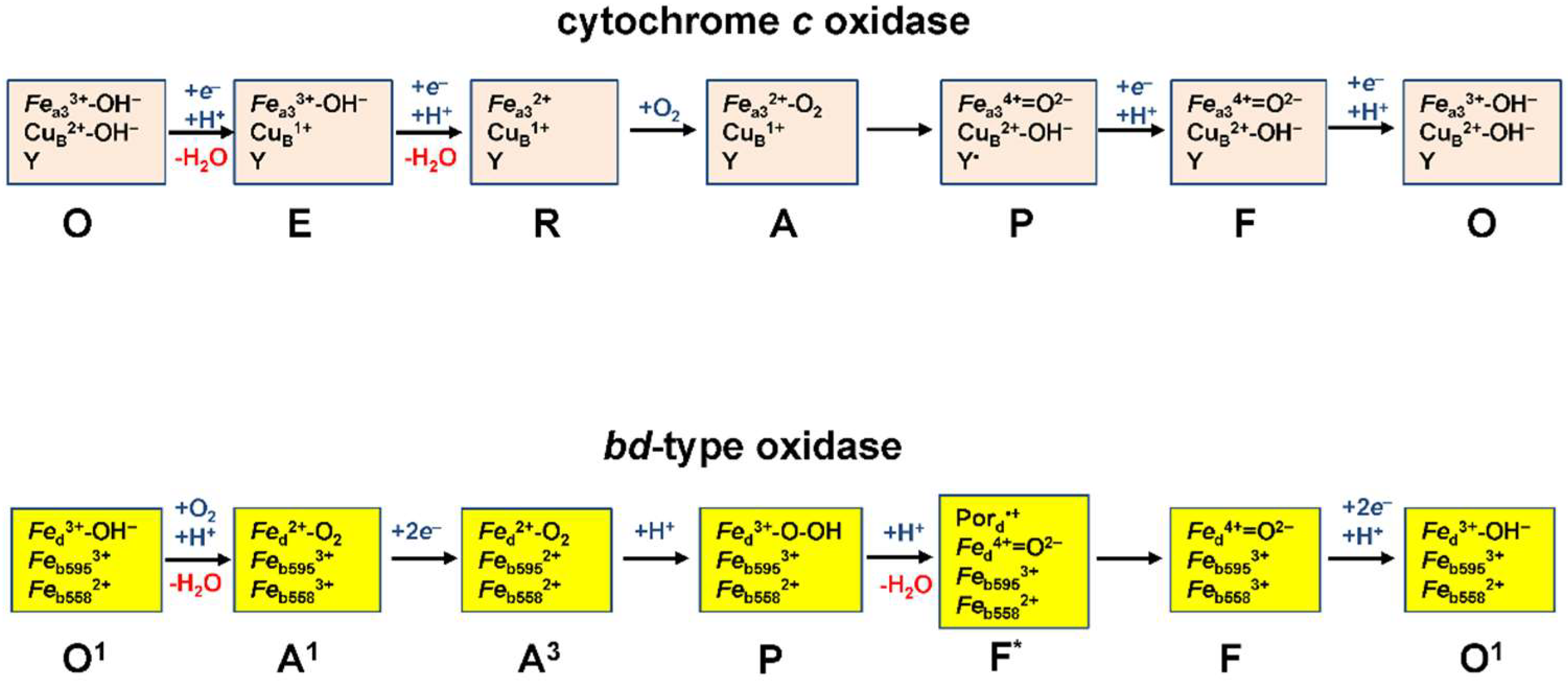 Ijms 23 07321 g002 Ijms 23 07321 g002