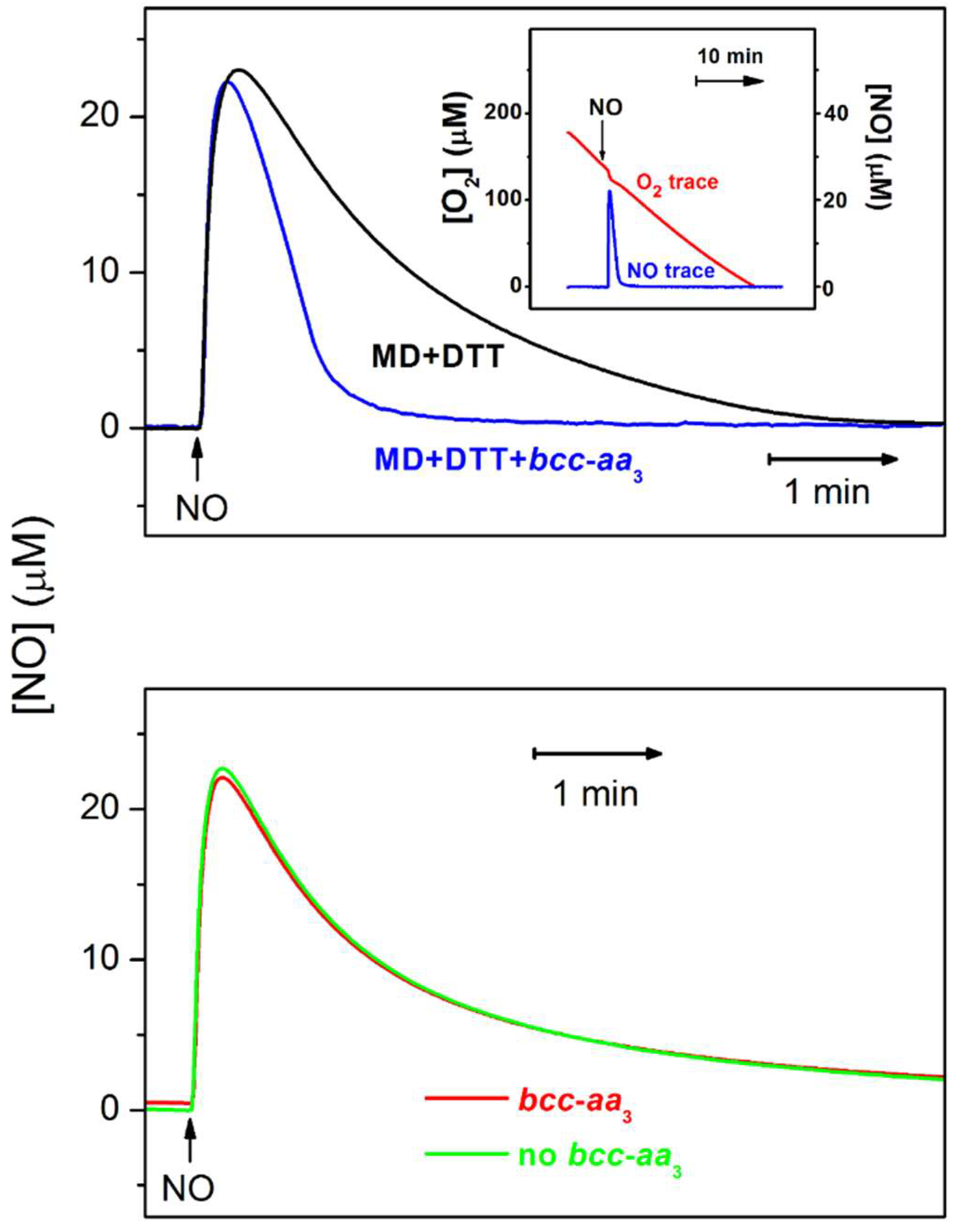 Ijms 23 07321 g003 Ijms 23 07321 g003