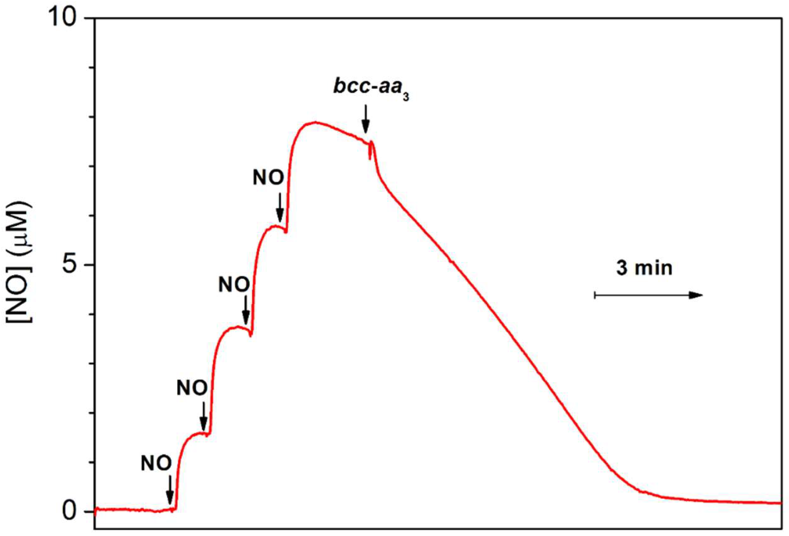 Ijms 23 07321 g005 Ijms 23 07321 g005