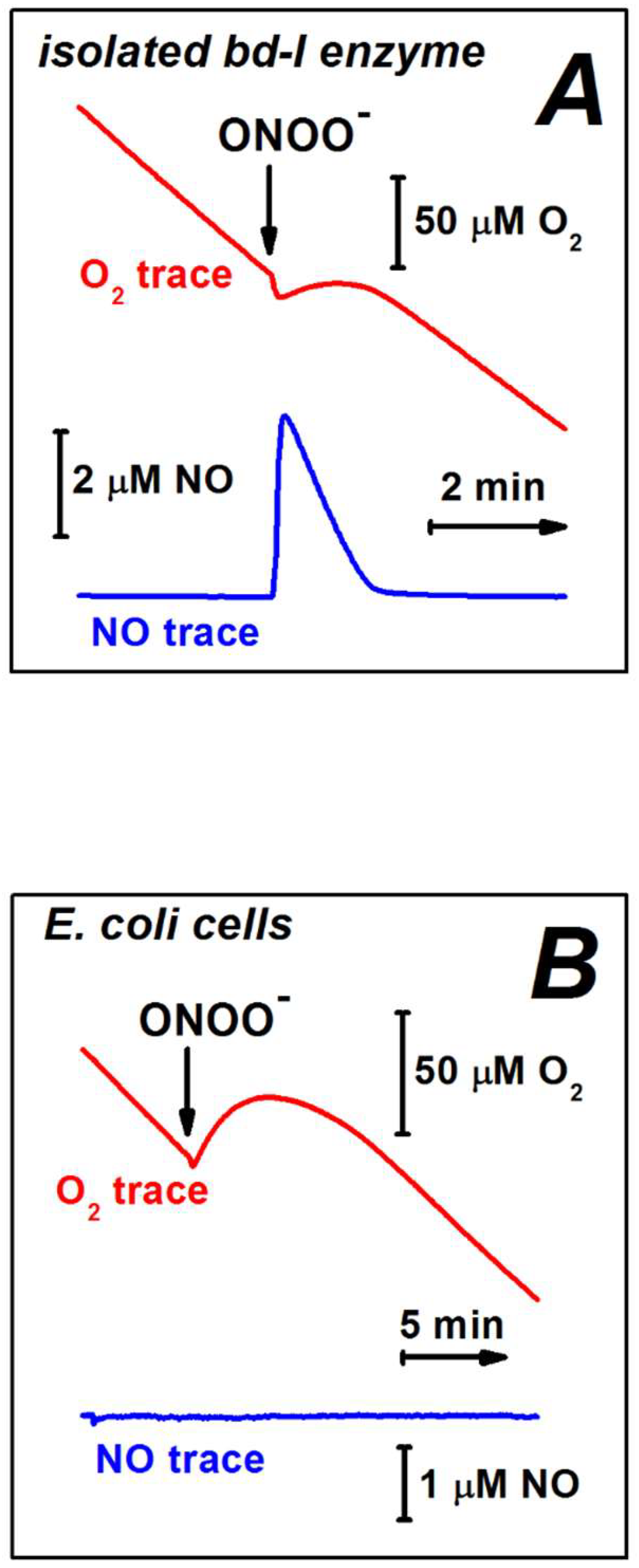 Ijms 23 07321 g008 Ijms 23 07321 g008