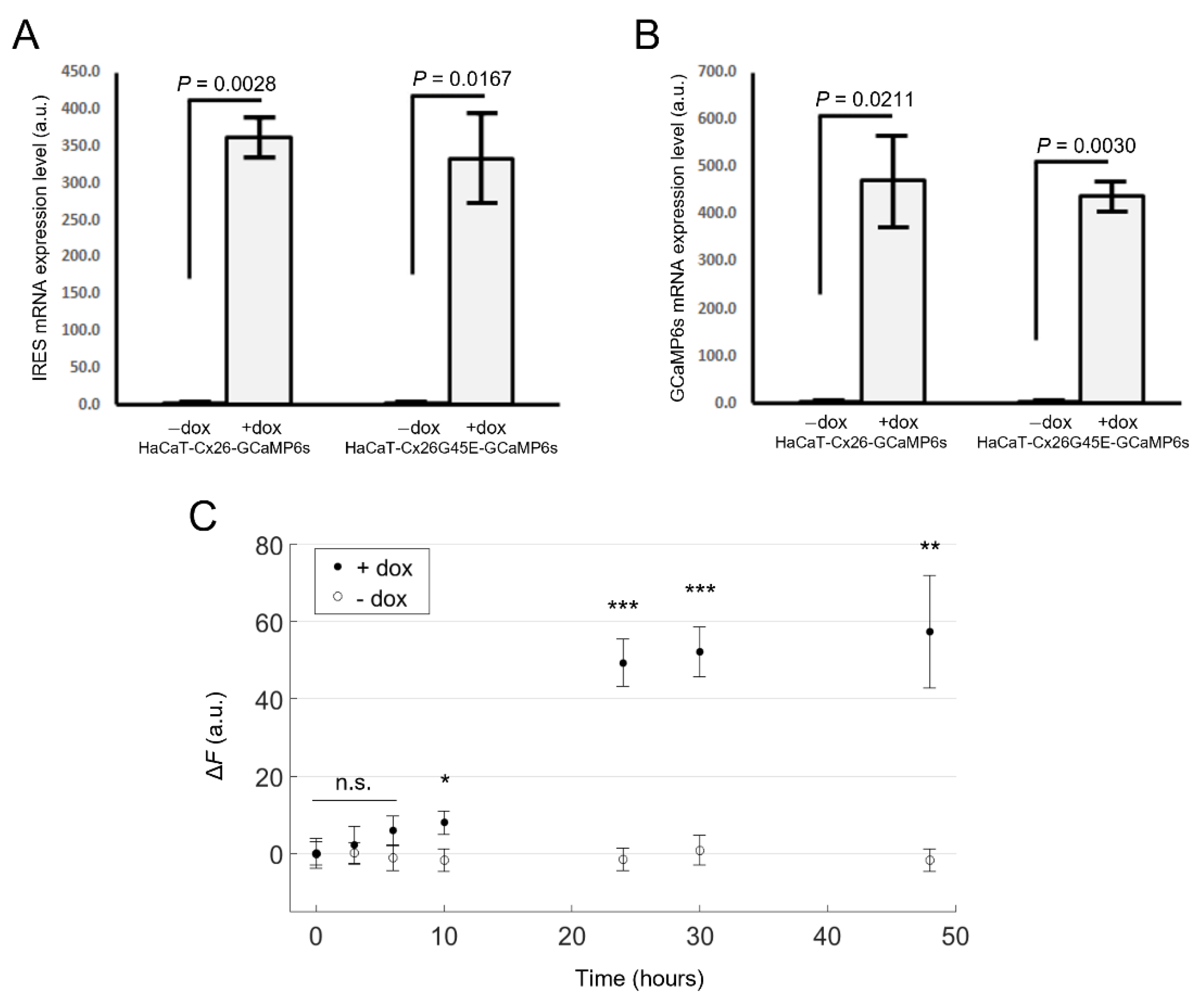 Ijms 23 07337 g001 Ijms 23 07337 g001