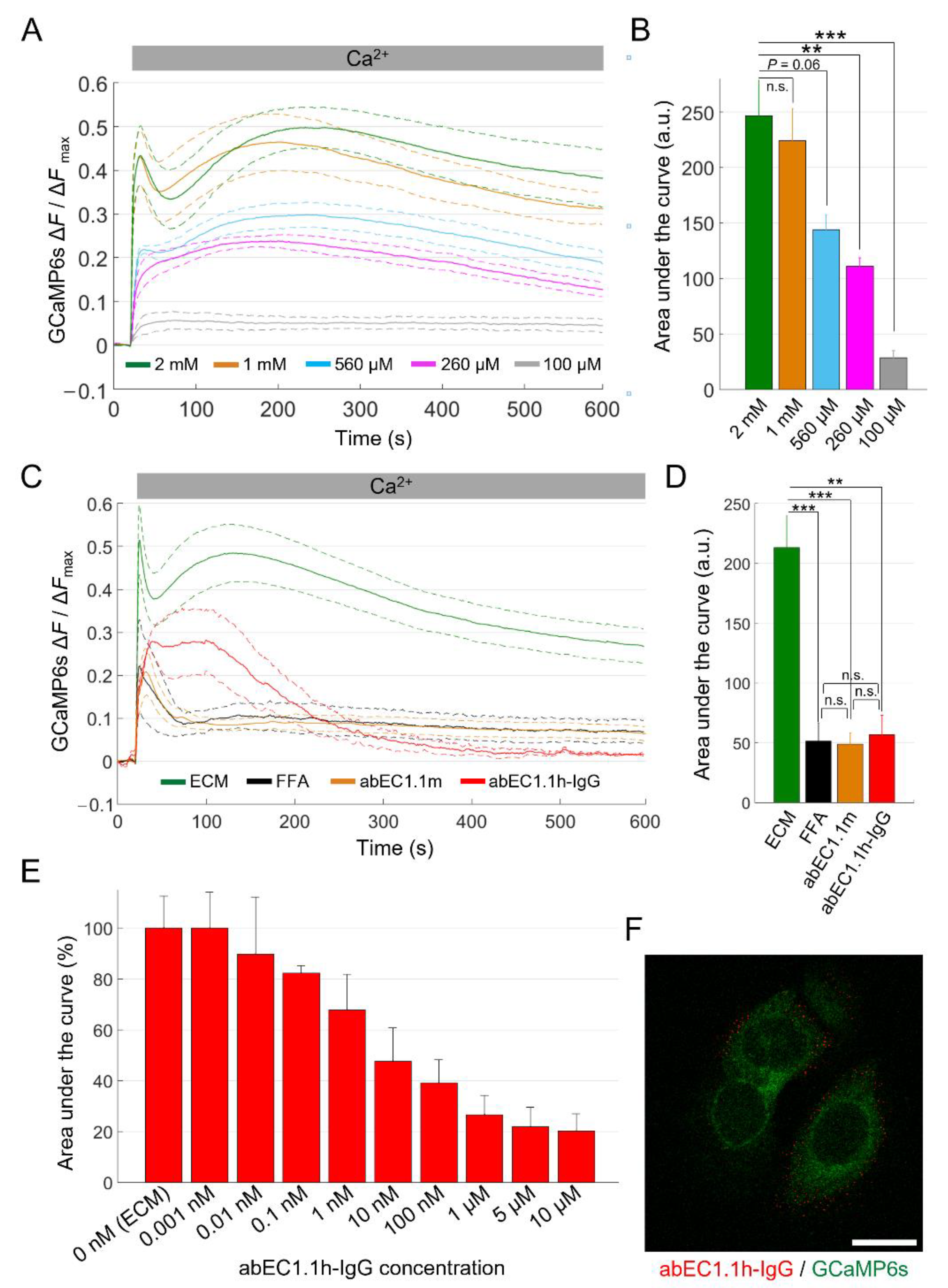 Ijms 23 07337 g004 Ijms 23 07337 g004