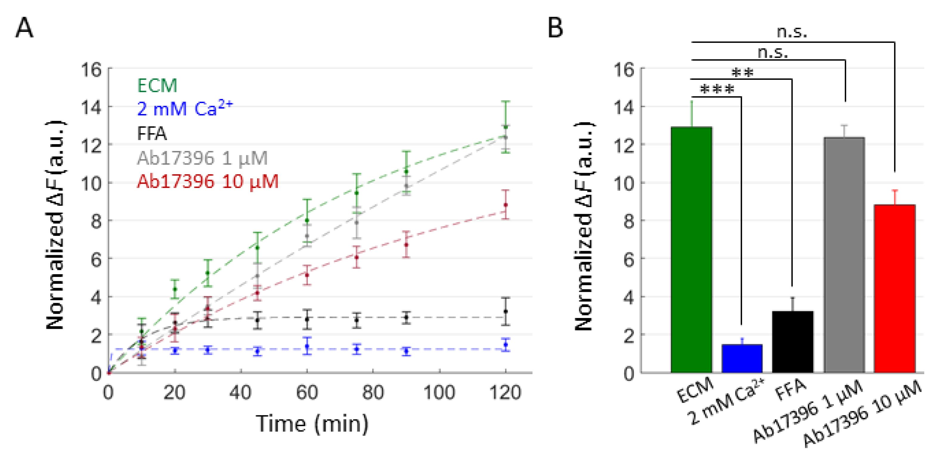 Ijms 23 07337 g007 Ijms 23 07337 g007