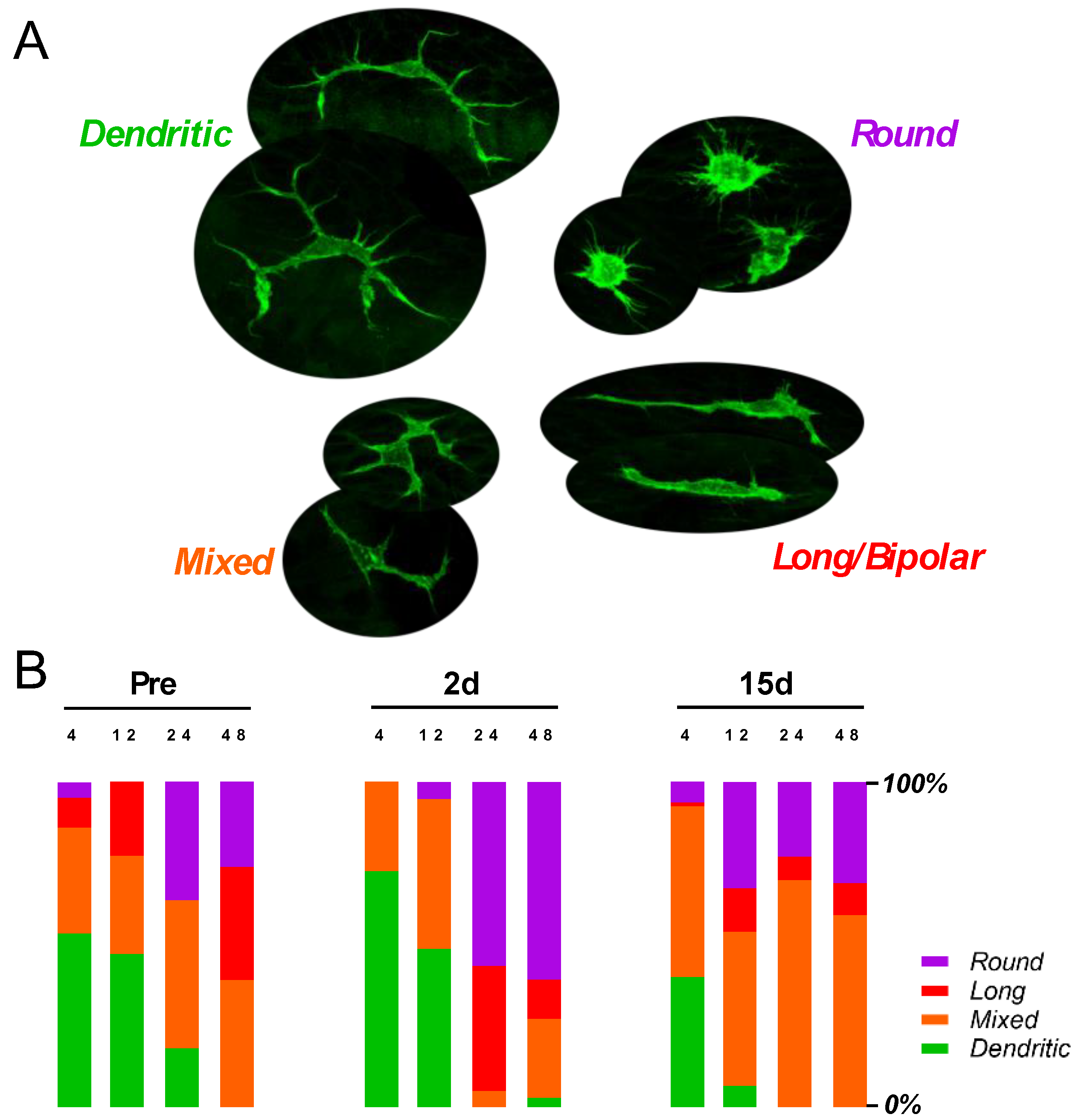 Ijms 23 07343 g005 Ijms 23 07343 g005