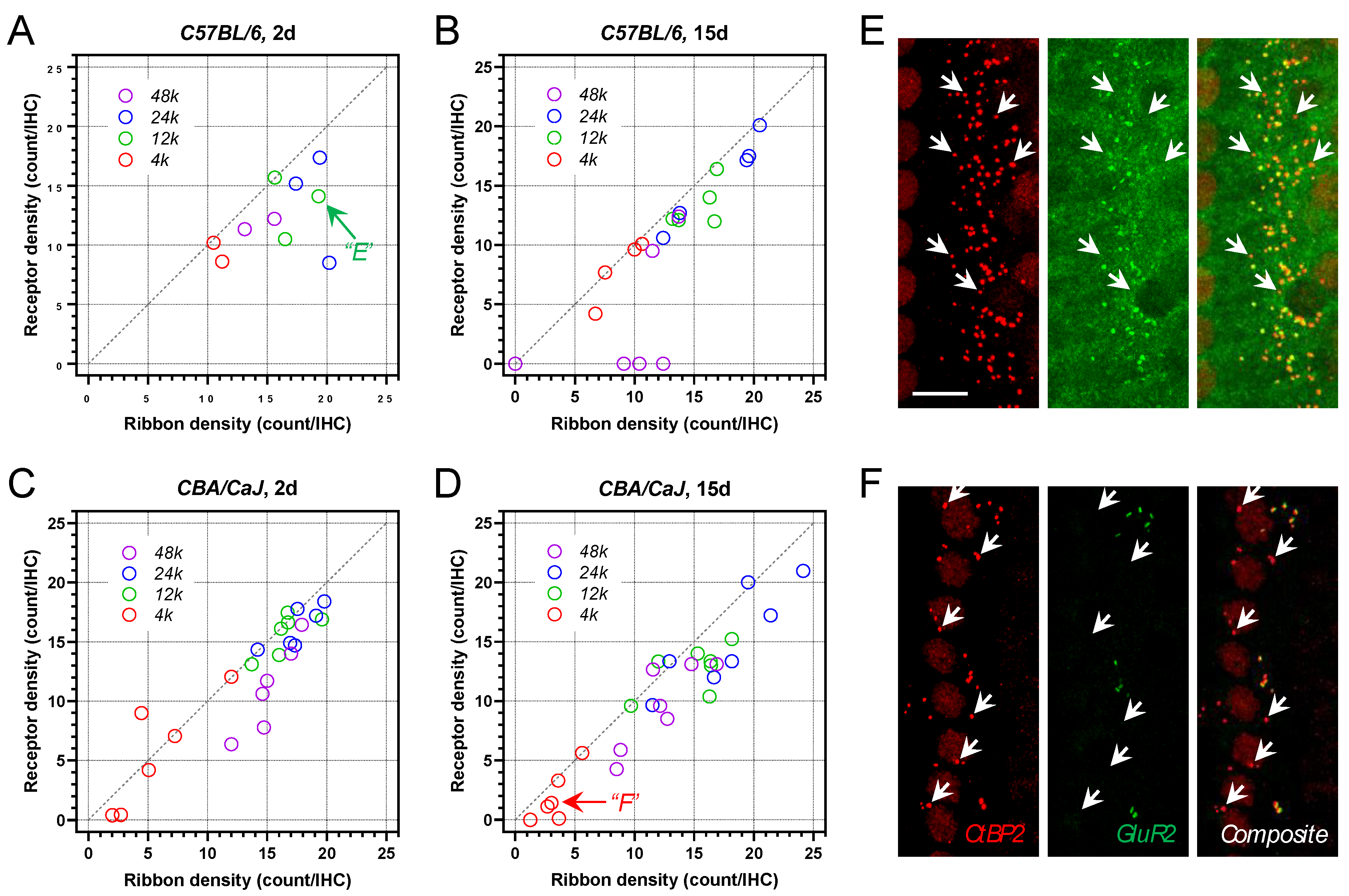 Ijms 23 07343 g007 Ijms 23 07343 g007