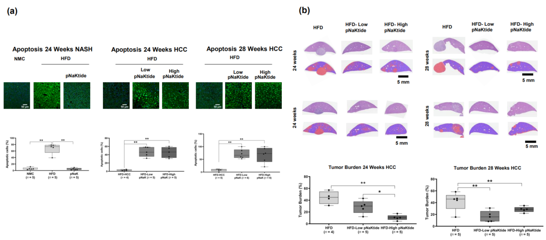Ijms 23 07359 g003 Ijms 23 07359 g003