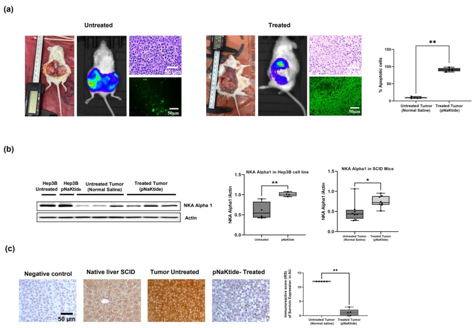 Ijms 23 07359 g004 Ijms 23 07359 g004
