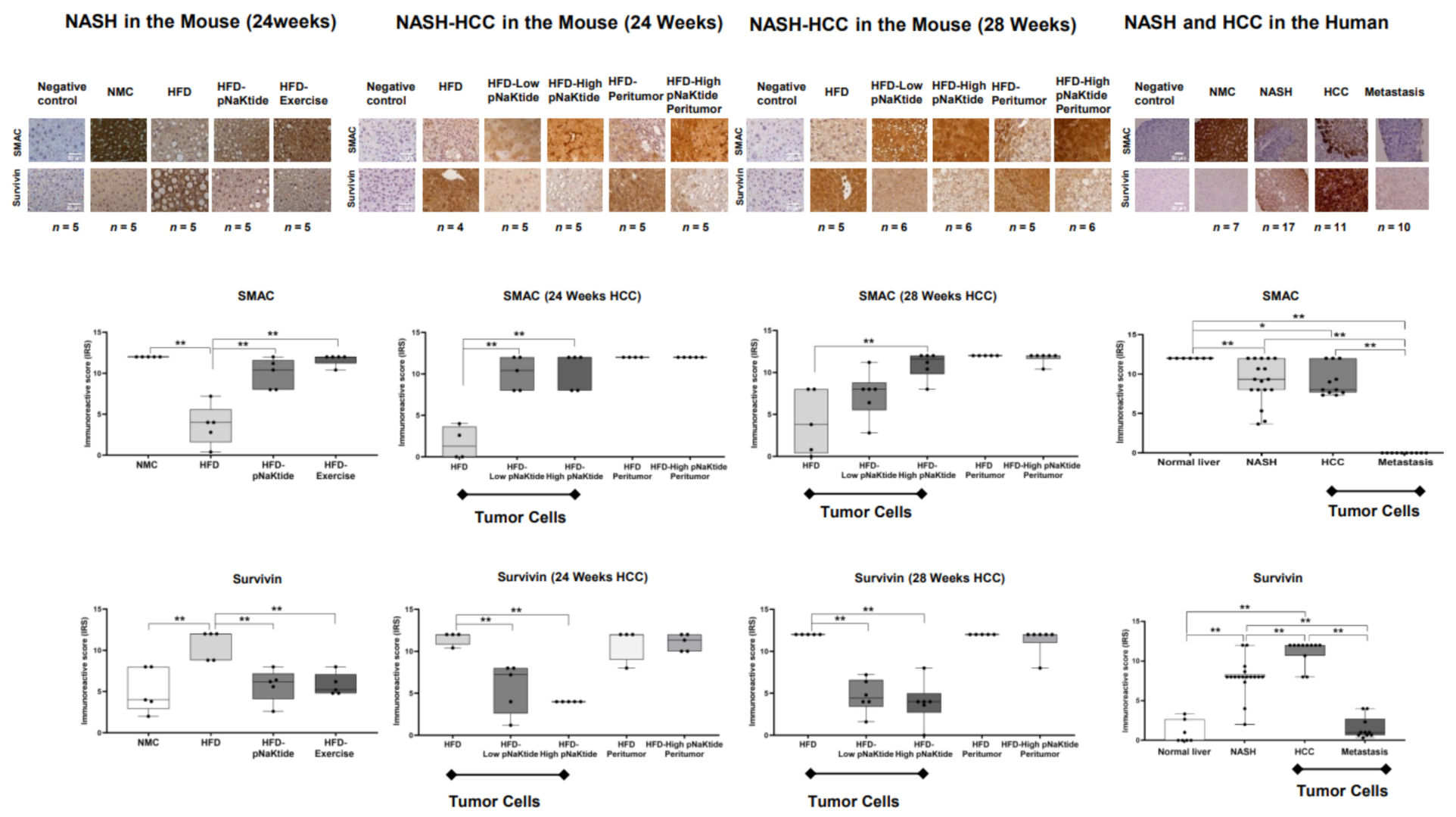 Ijms 23 07359 g005 Ijms 23 07359 g005