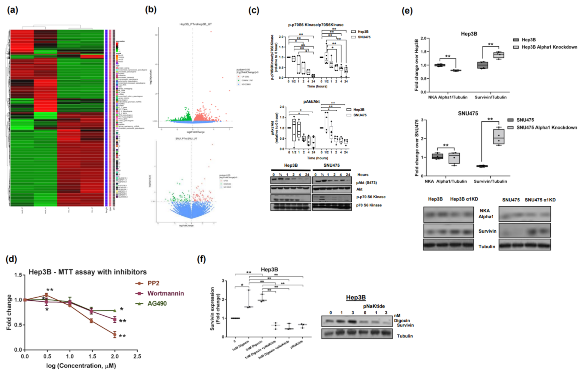 Ijms 23 07359 g006 Ijms 23 07359 g006