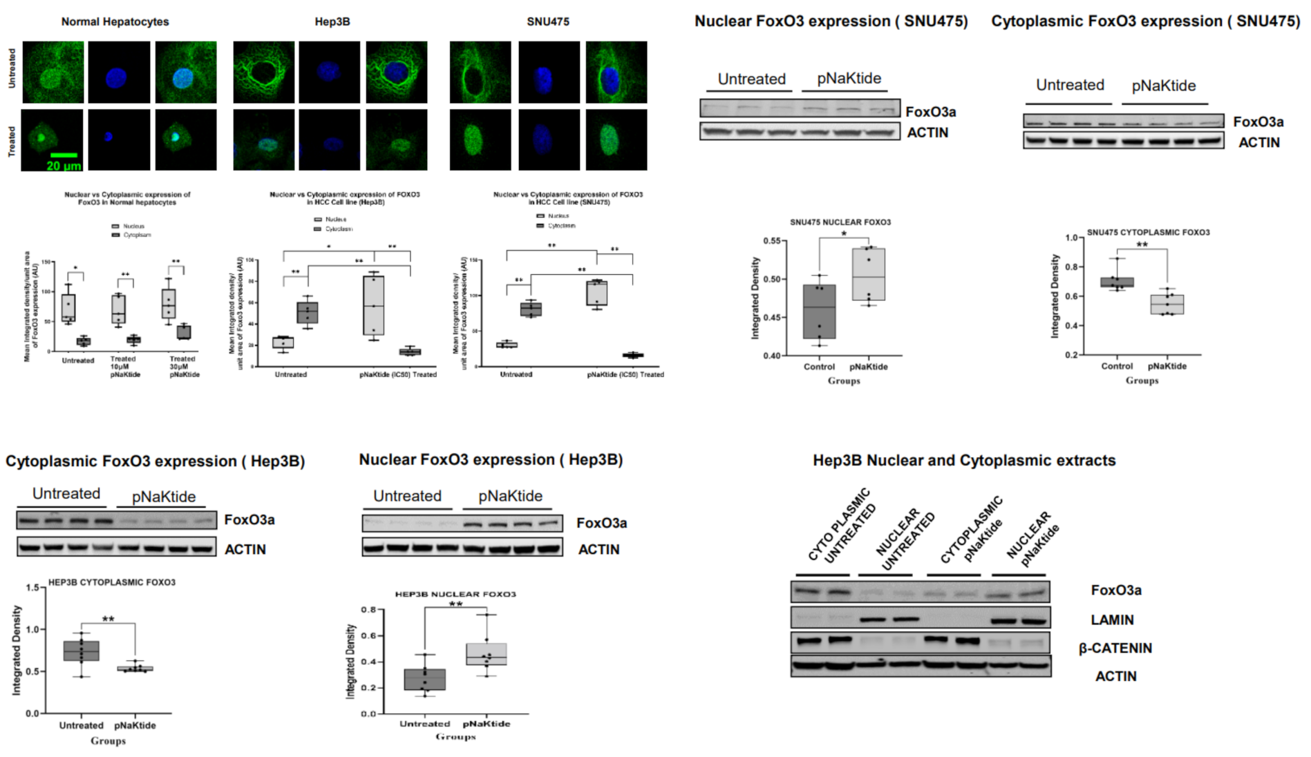 Ijms 23 07359 g007 Ijms 23 07359 g007