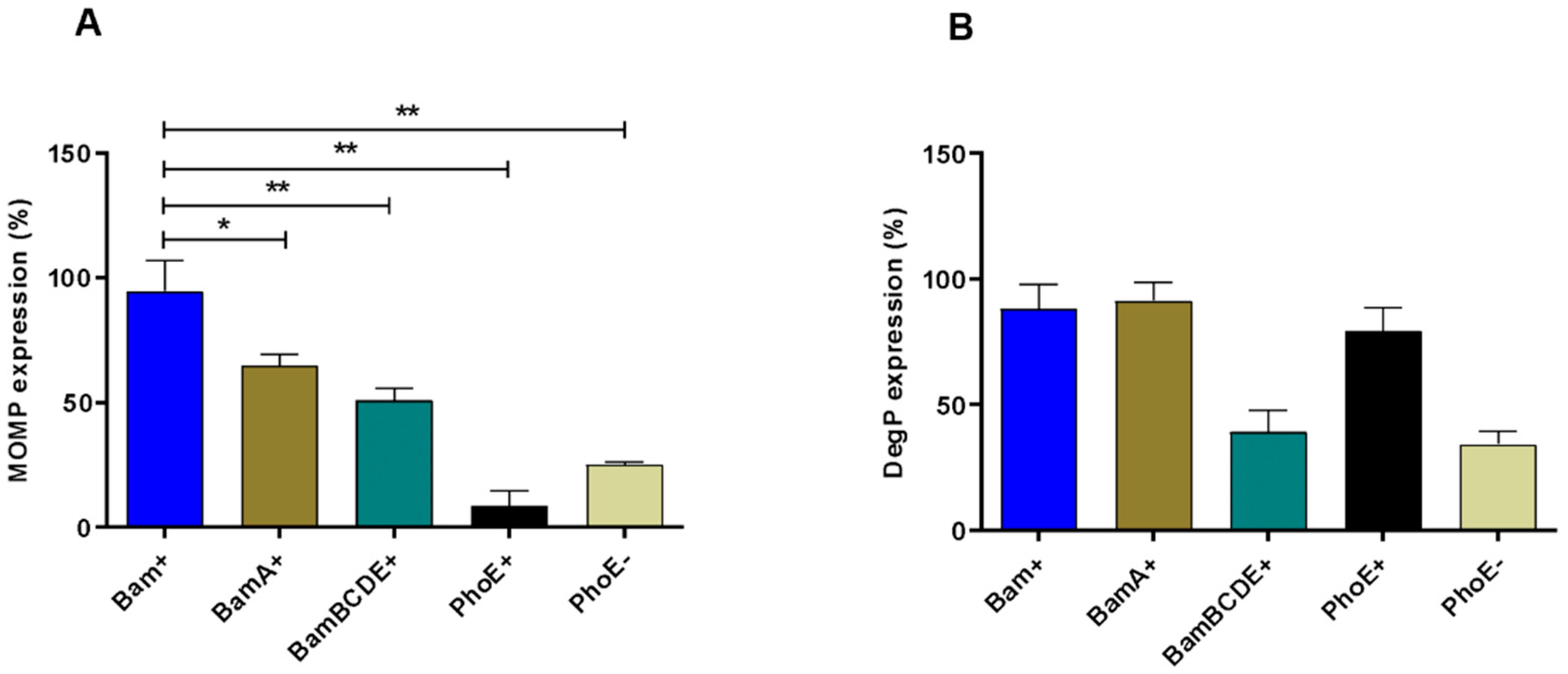 Ijms 23 07393 g002 Ijms 23 07393 g002