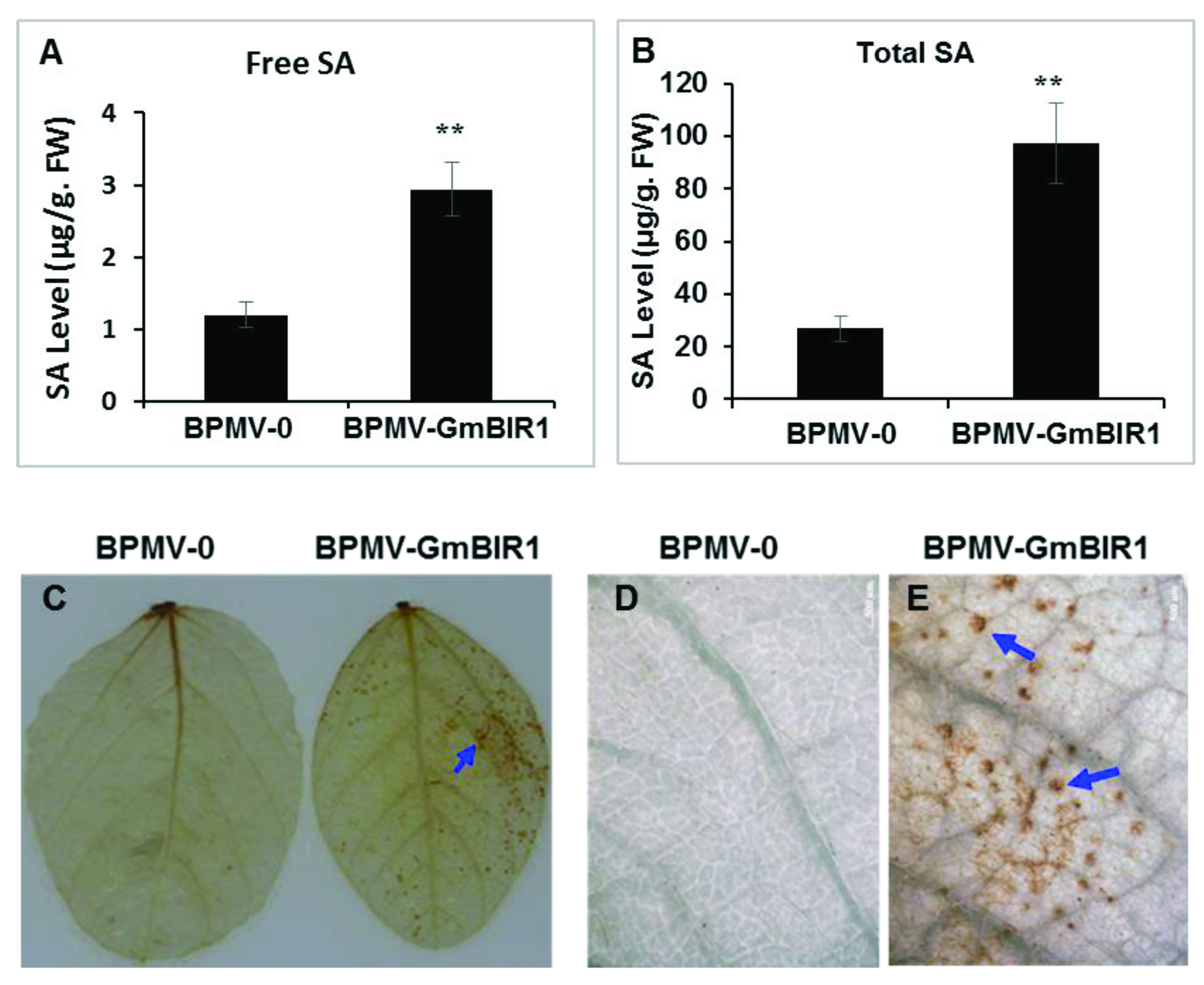 Ijms 23 07450 g002 Ijms 23 07450 g002
