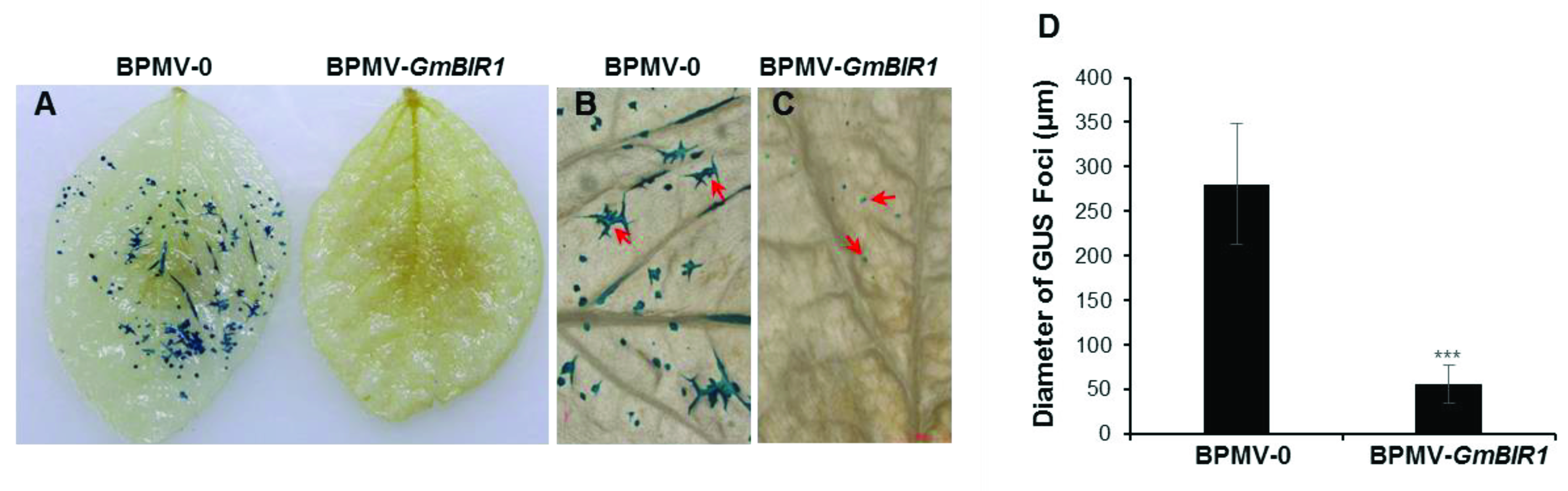 Ijms 23 07450 g003 Ijms 23 07450 g003