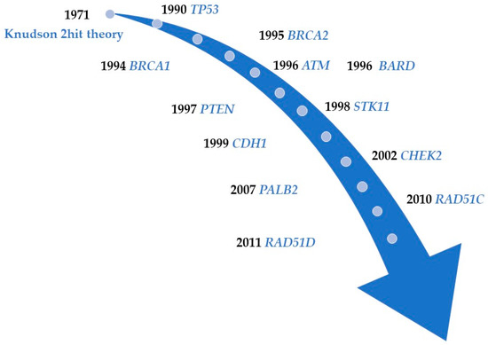 IJMS | Free Full-Text | Functions of Breast Cancer Predisposition