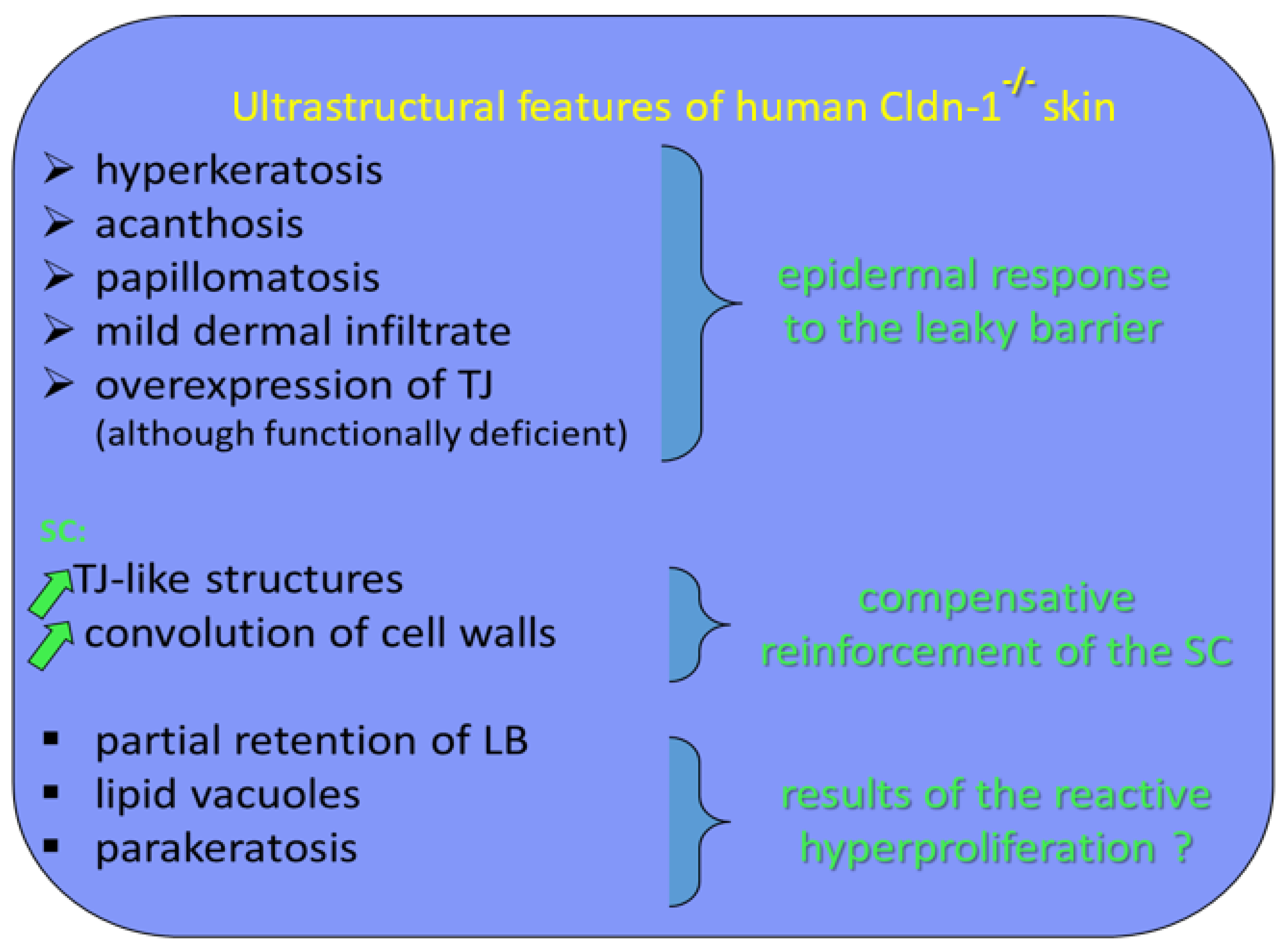 Ijms 23 07486 g003 Ijms 23 07486 g003