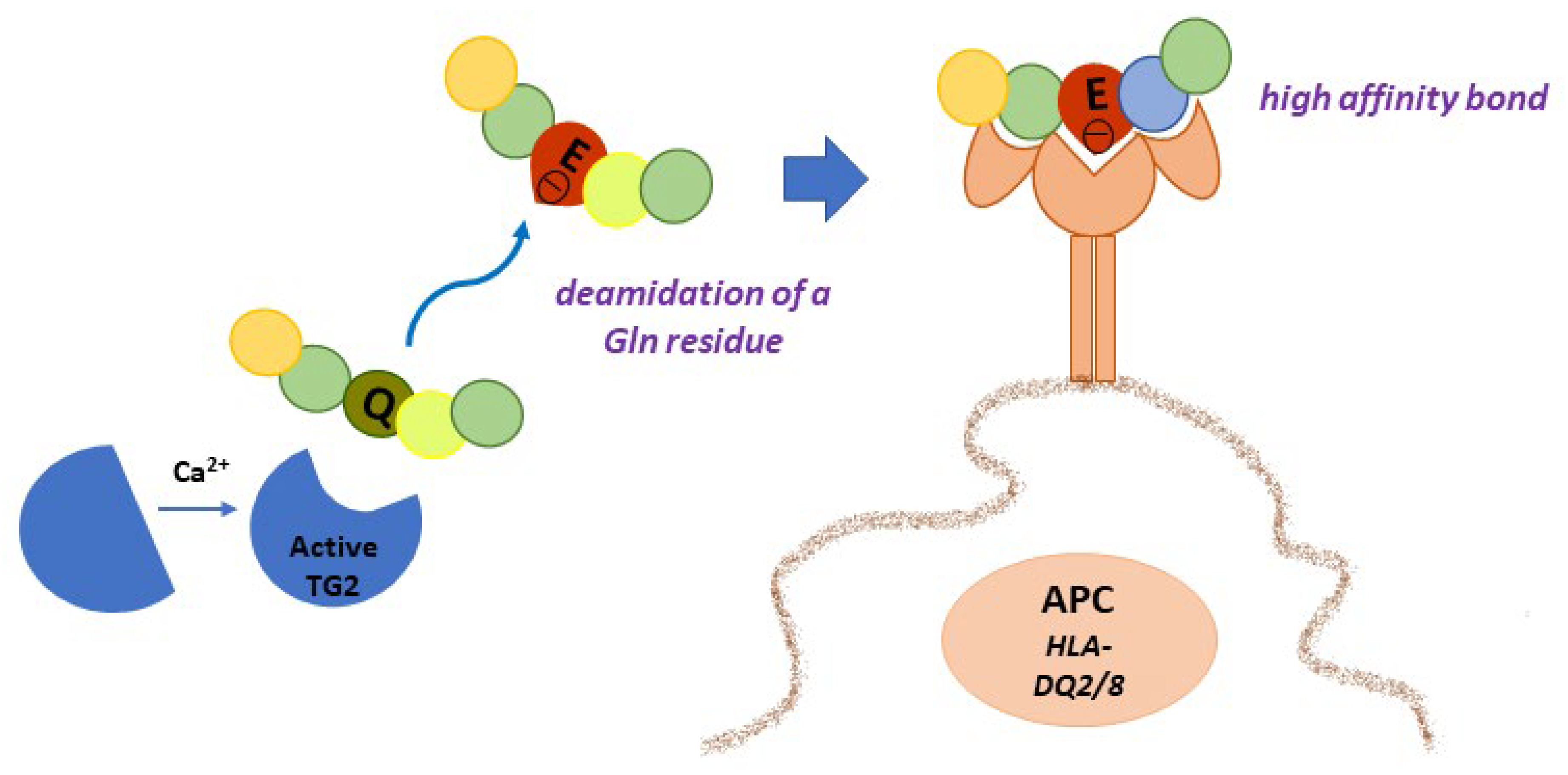 Ijms 23 07513 g003 Ijms 23 07513 g003