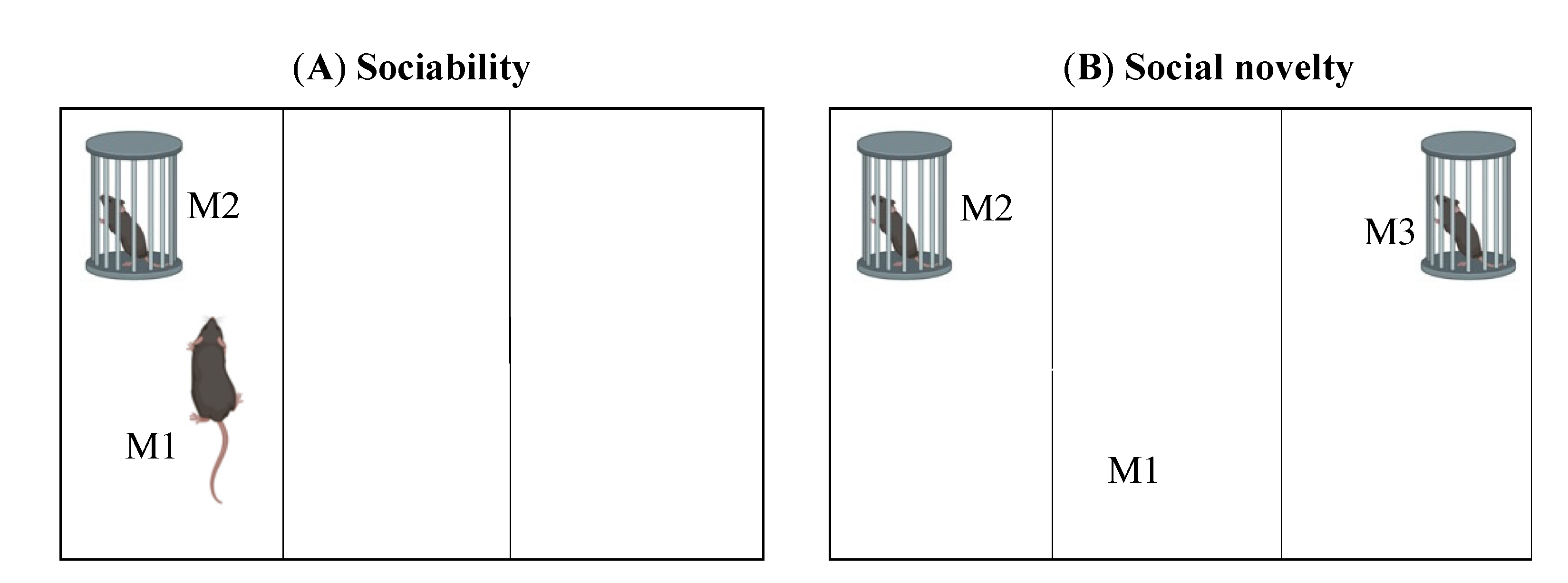 Ijms 23 07550 g004 Ijms 23 07550 g004
