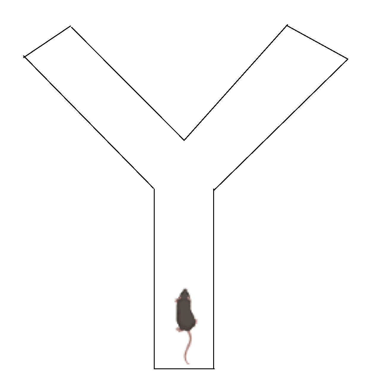 Ijms 23 07550 g007 Ijms 23 07550 g007