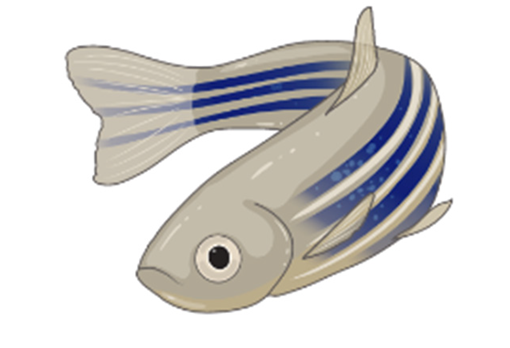 Ijms 23 07550 i002 Ijms 23 07550 i002