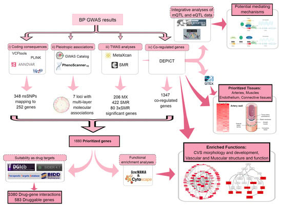 https://www.mdpi.com/ijms/ijms-23-07557/article_deploy/html/images/ijms-23-07557-g001-550.jpg