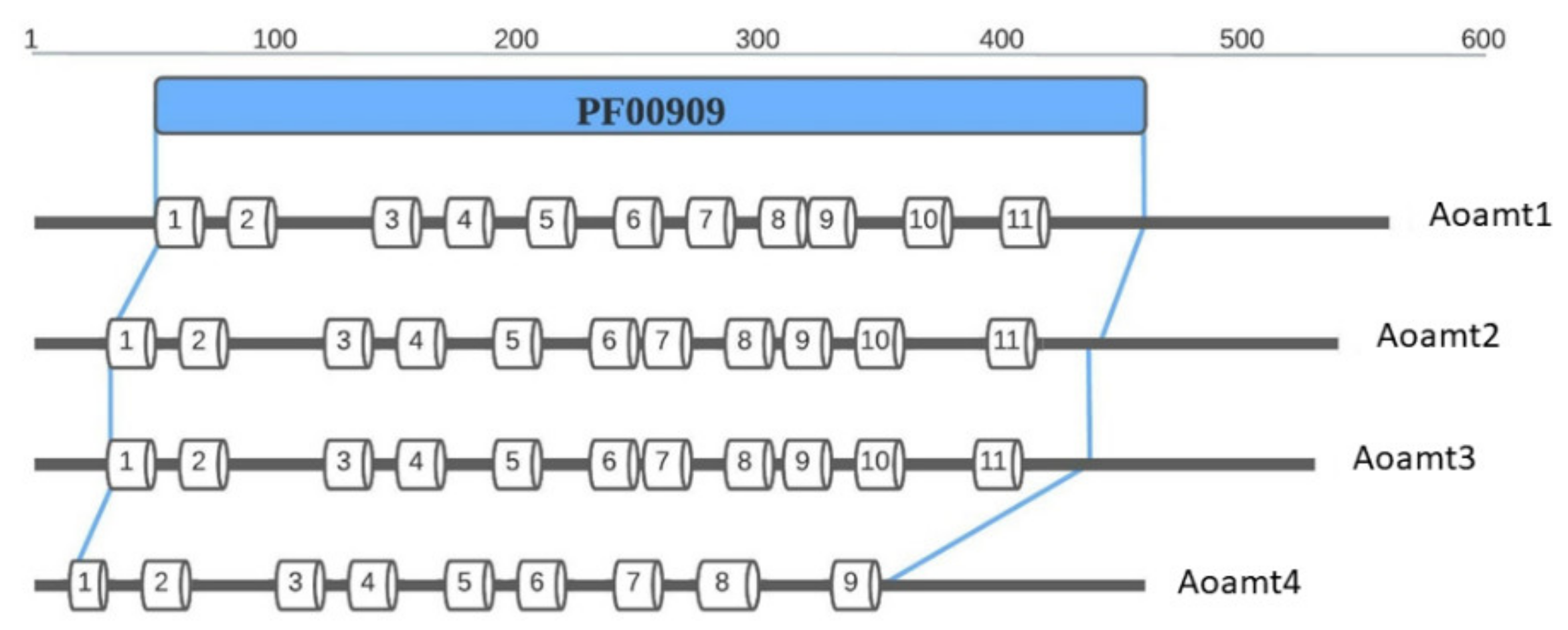 Ijms 23 07567 g001 Ijms 23 07567 g001