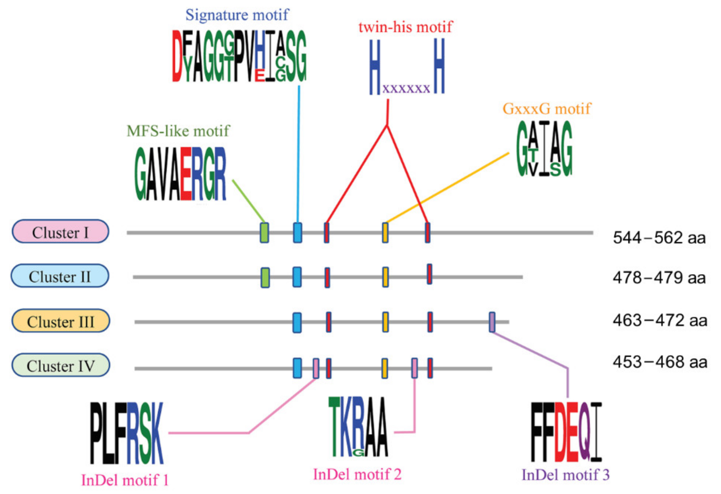 Ijms 23 07567 g003 Ijms 23 07567 g003