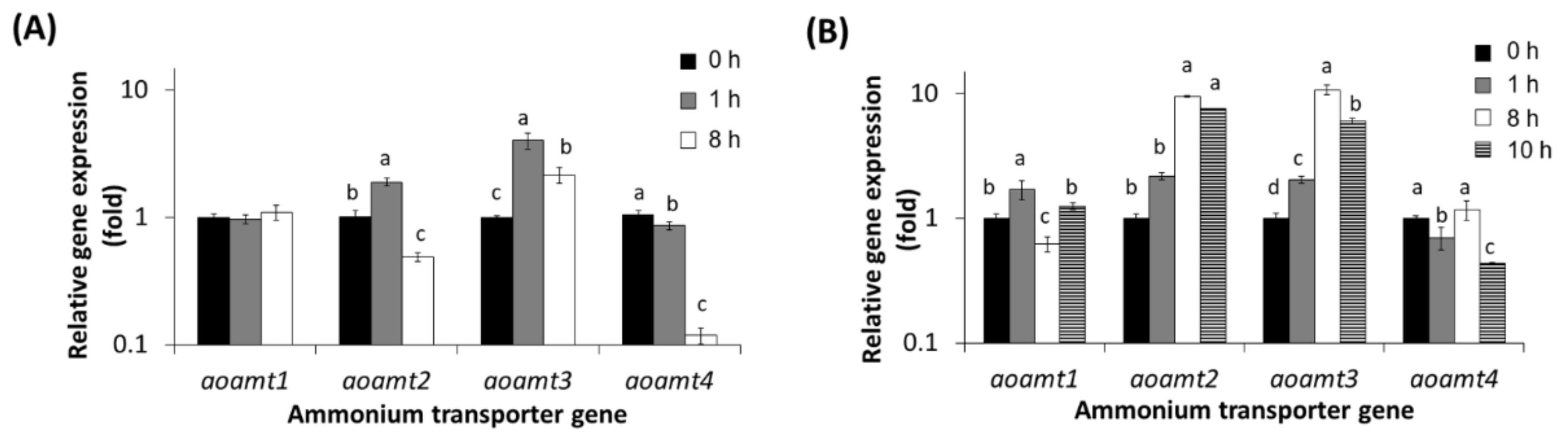 Ijms 23 07567 g004 Ijms 23 07567 g004
