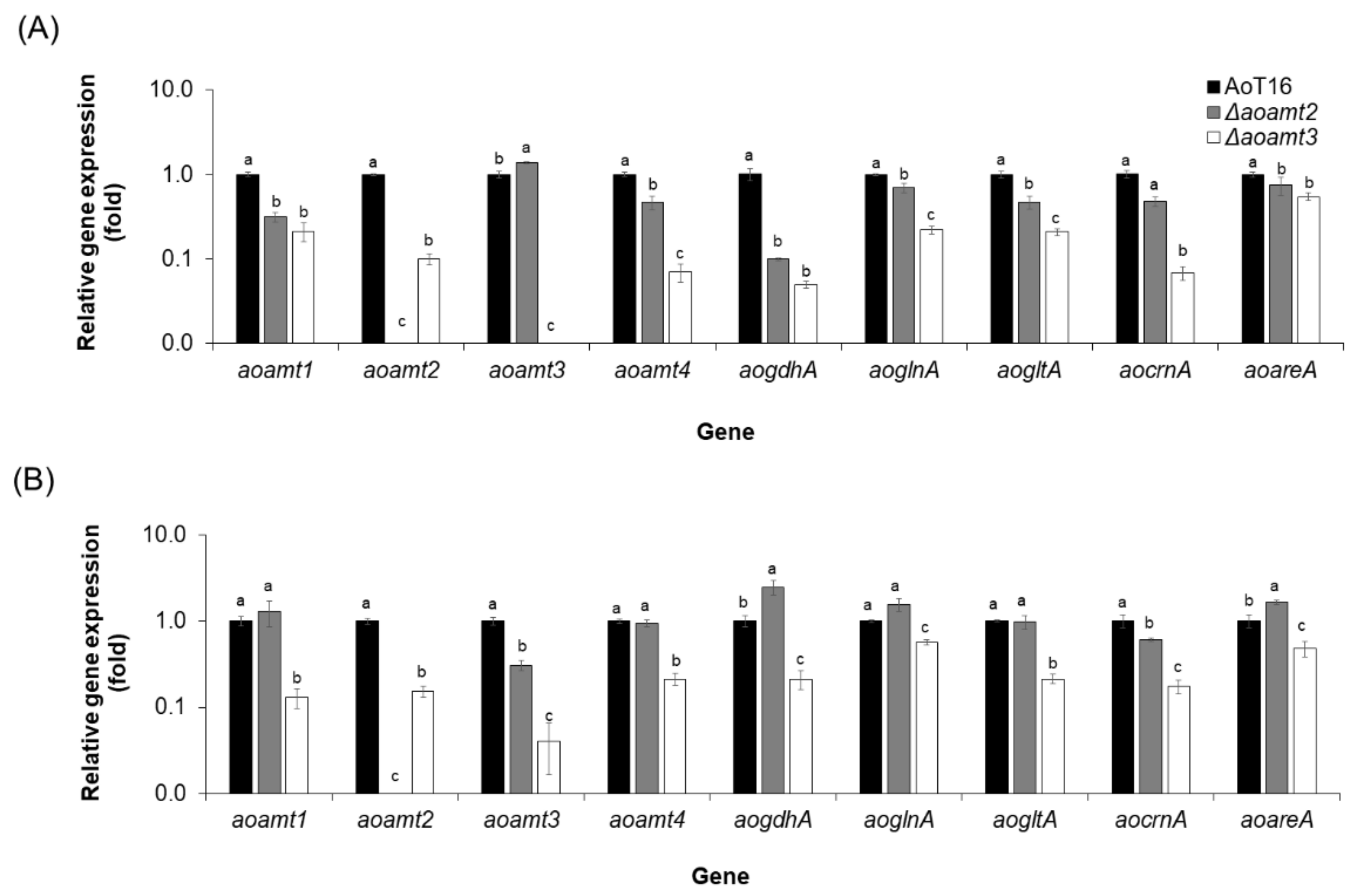 Ijms 23 07567 g006 Ijms 23 07567 g006