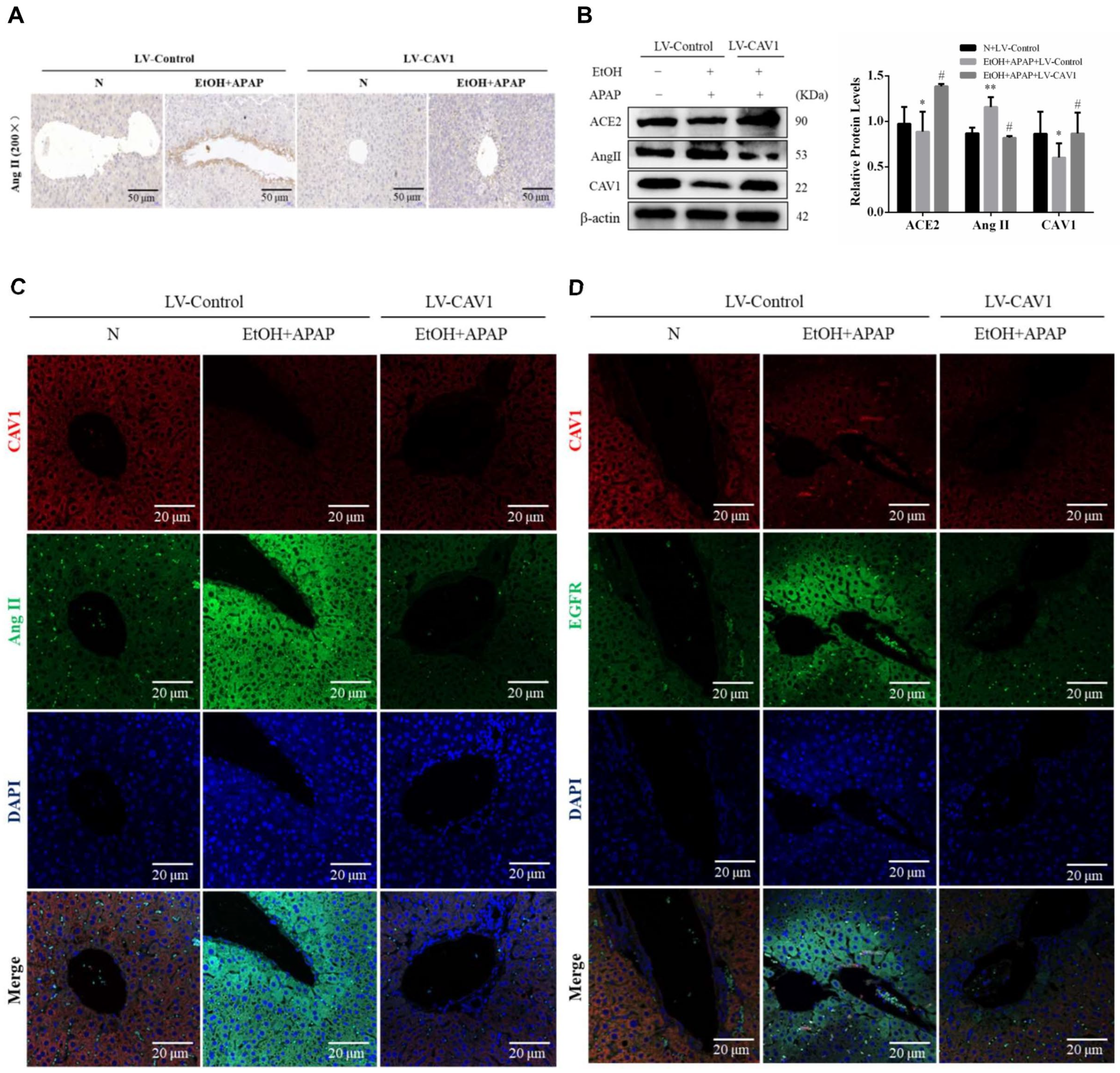 Ijms 23 07587 g003 Ijms 23 07587 g003