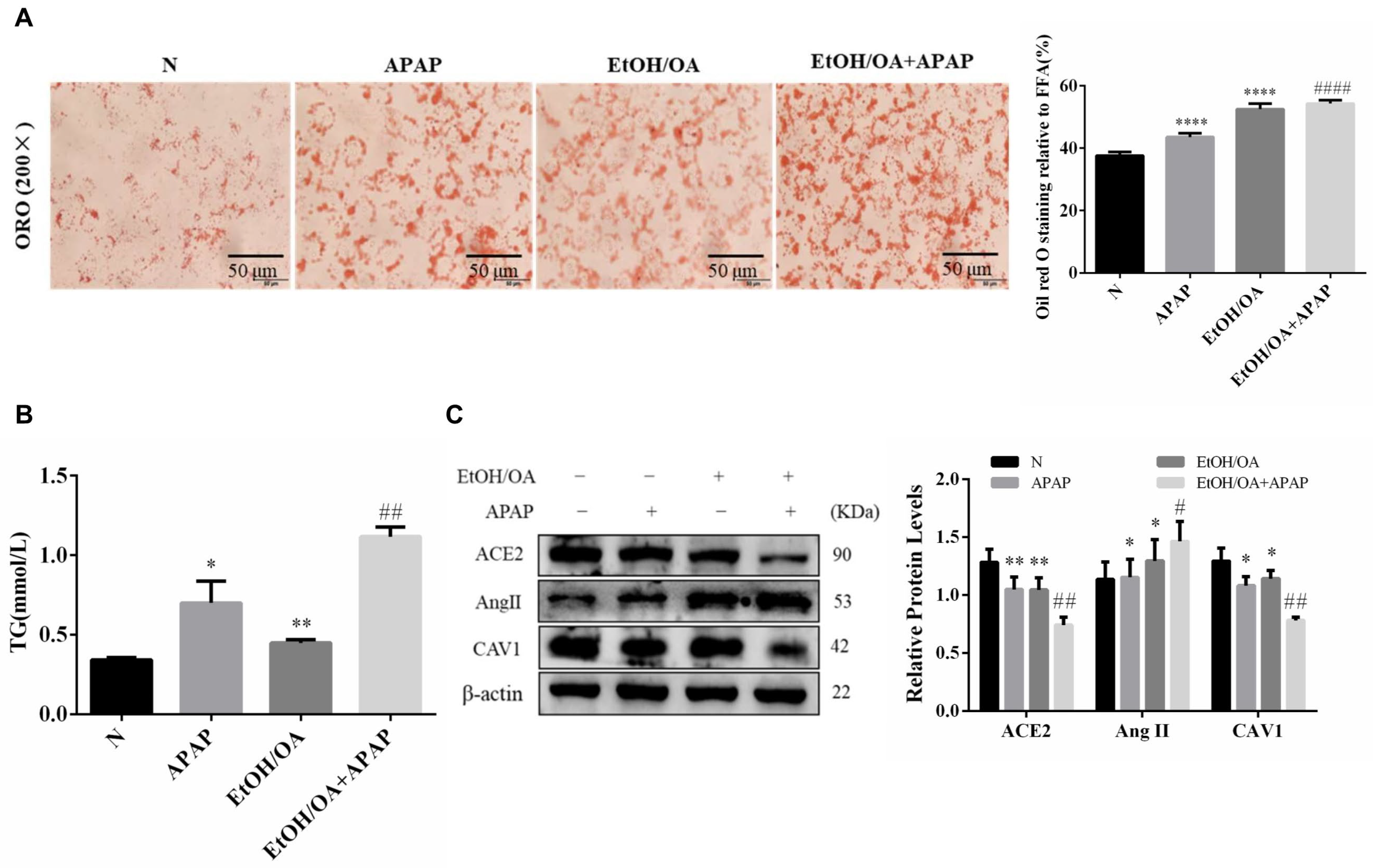 Ijms 23 07587 g005 Ijms 23 07587 g005