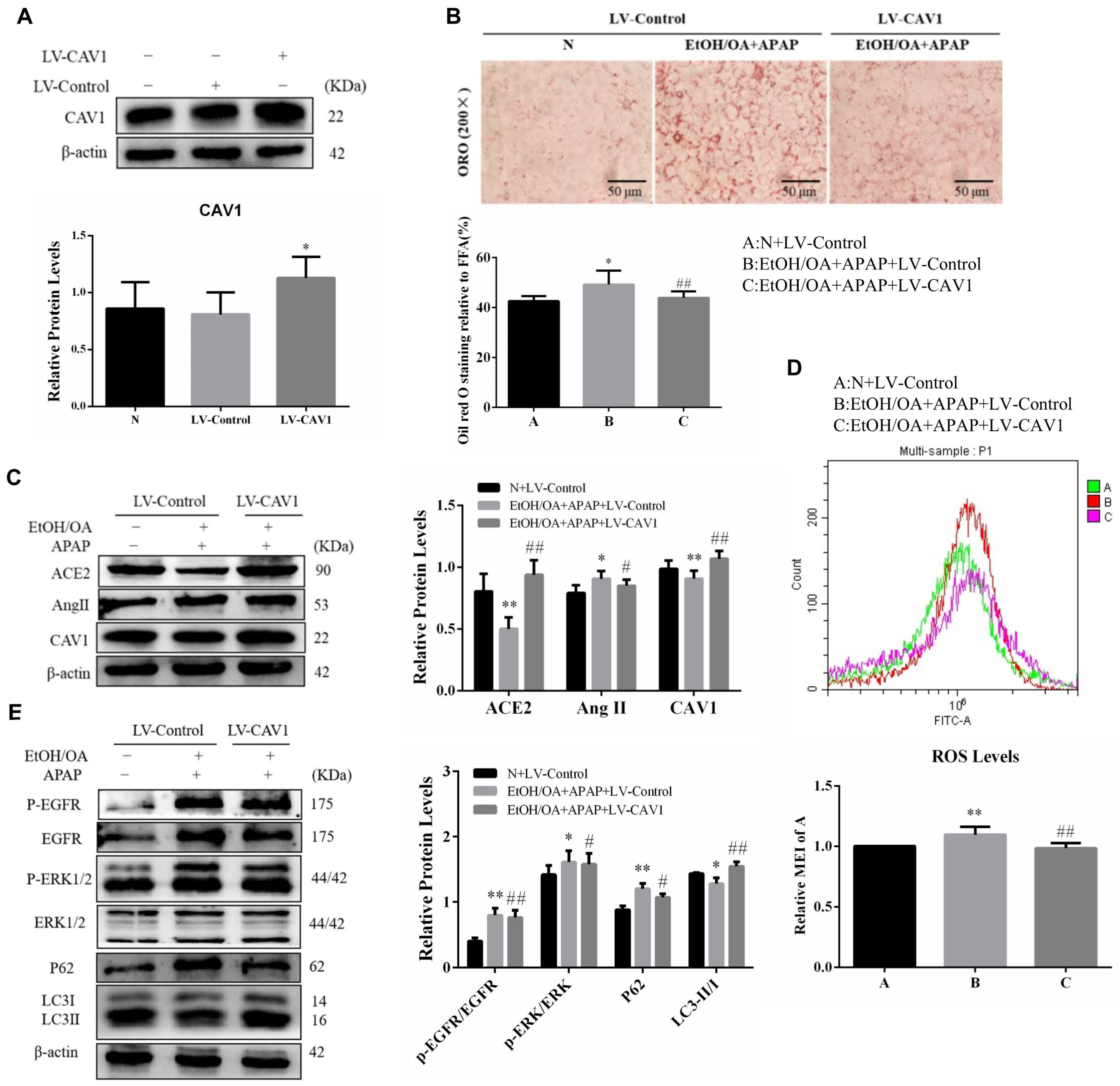 Ijms 23 07587 g006 Ijms 23 07587 g006