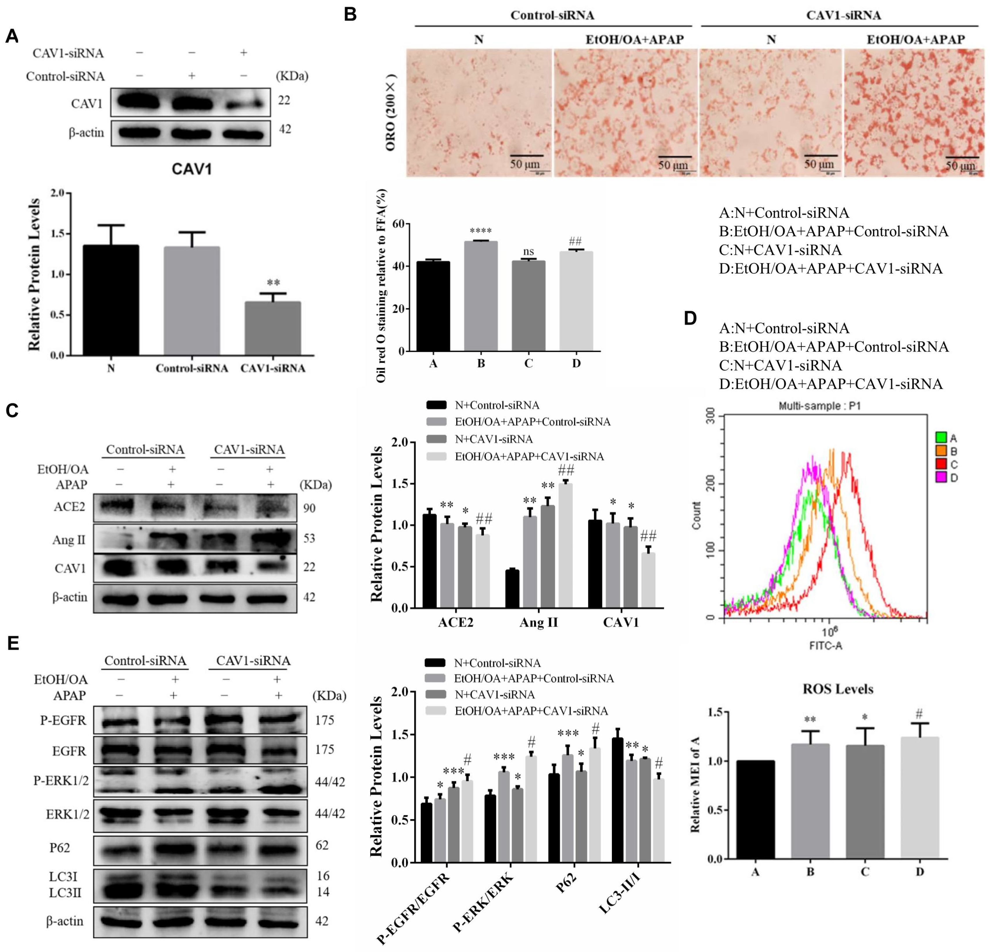 Ijms 23 07587 g007 Ijms 23 07587 g007