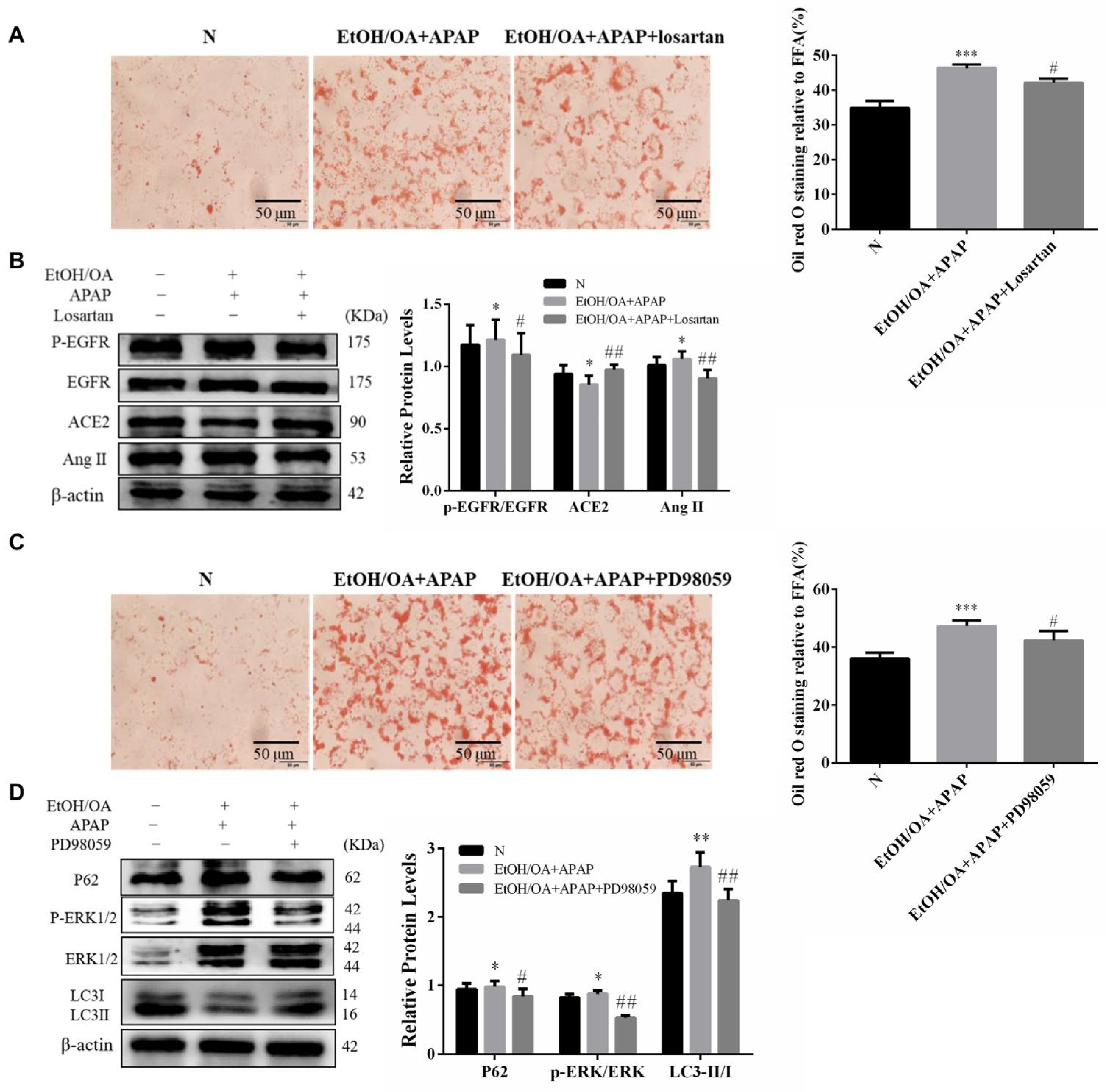 Ijms 23 07587 g008 Ijms 23 07587 g008