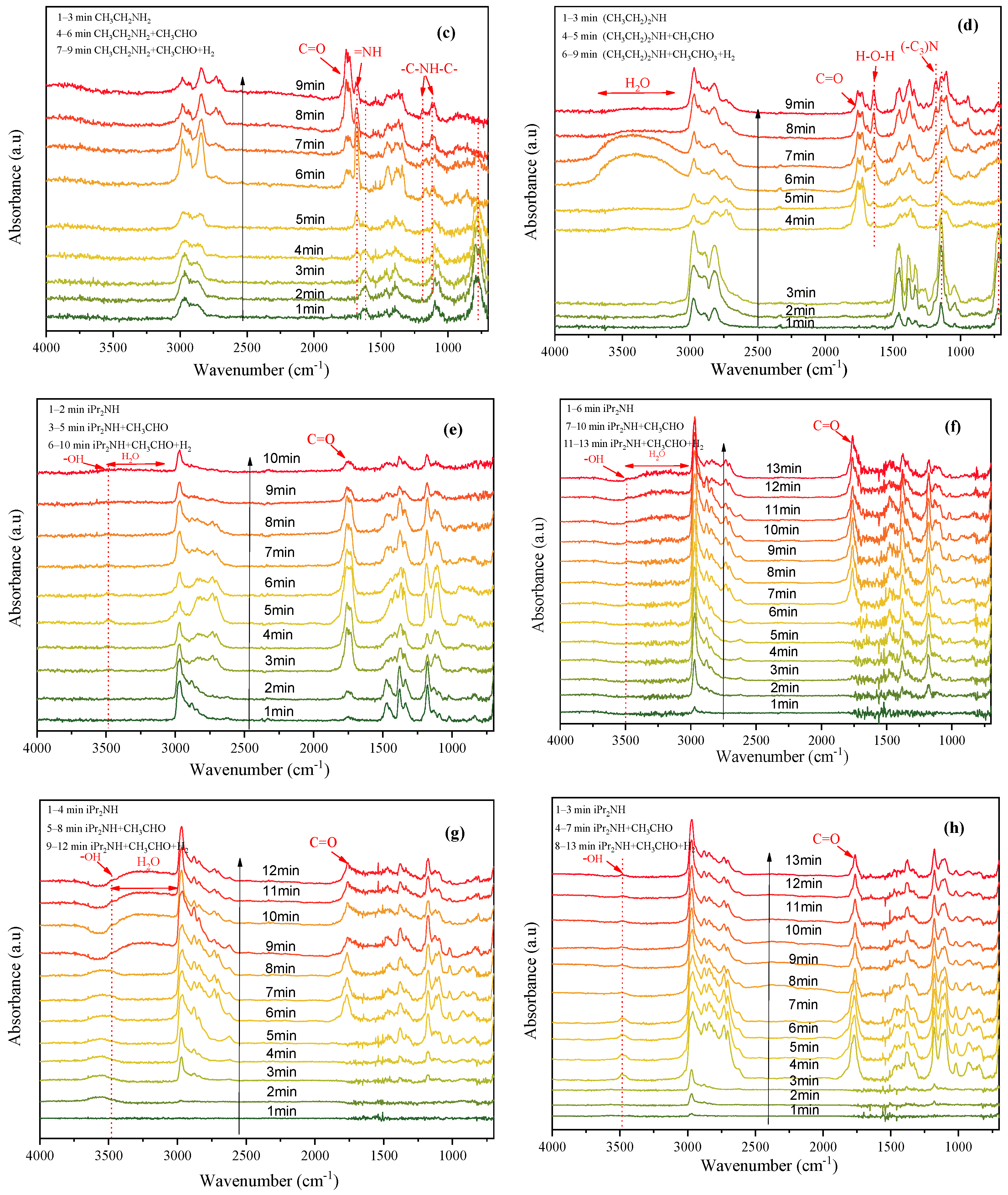 Ijms 23 07621 g005b Ijms 23 07621 g005b