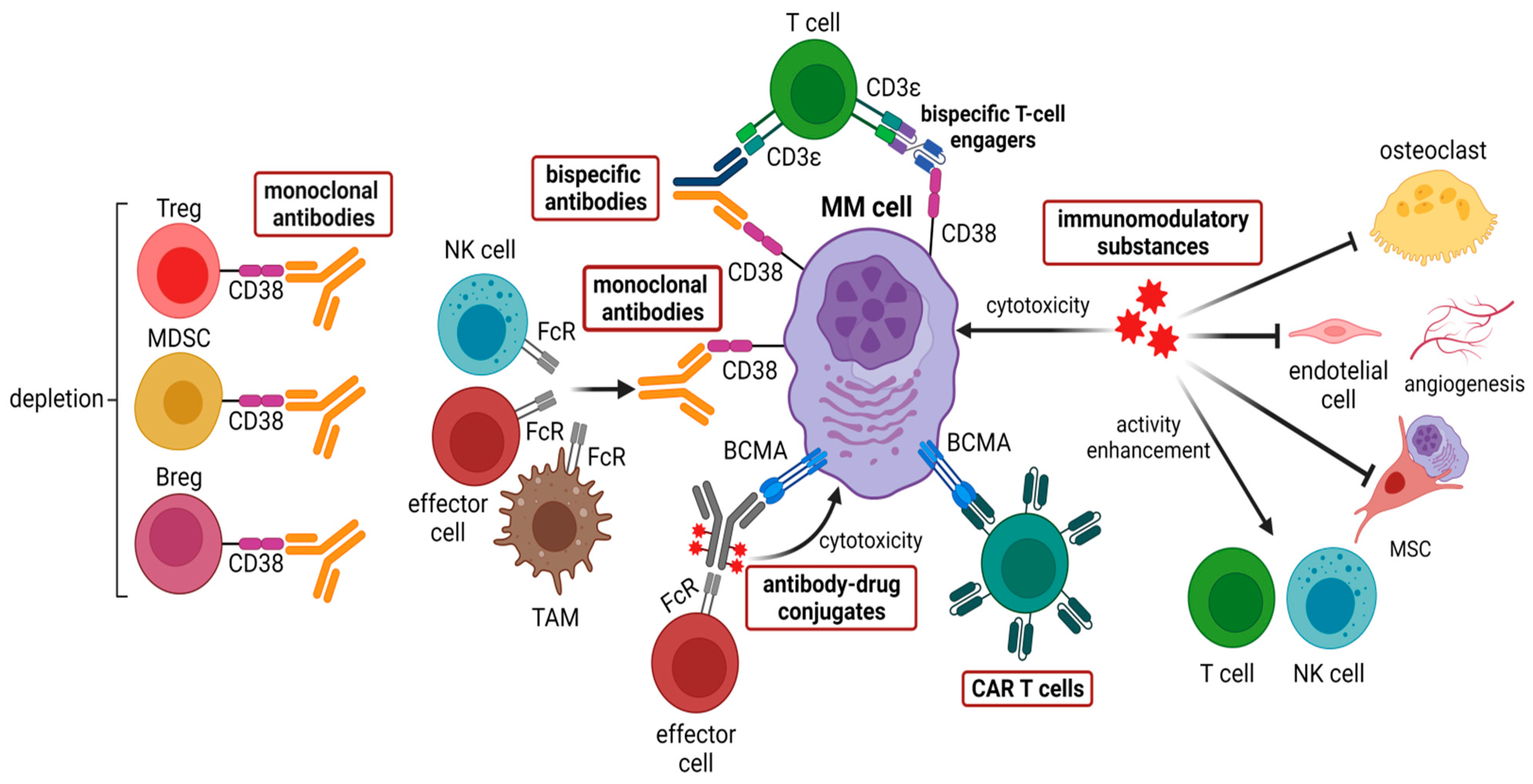 IJMS Free Full Text Targeting The Microenvironment For Treating Multiple Myeloma