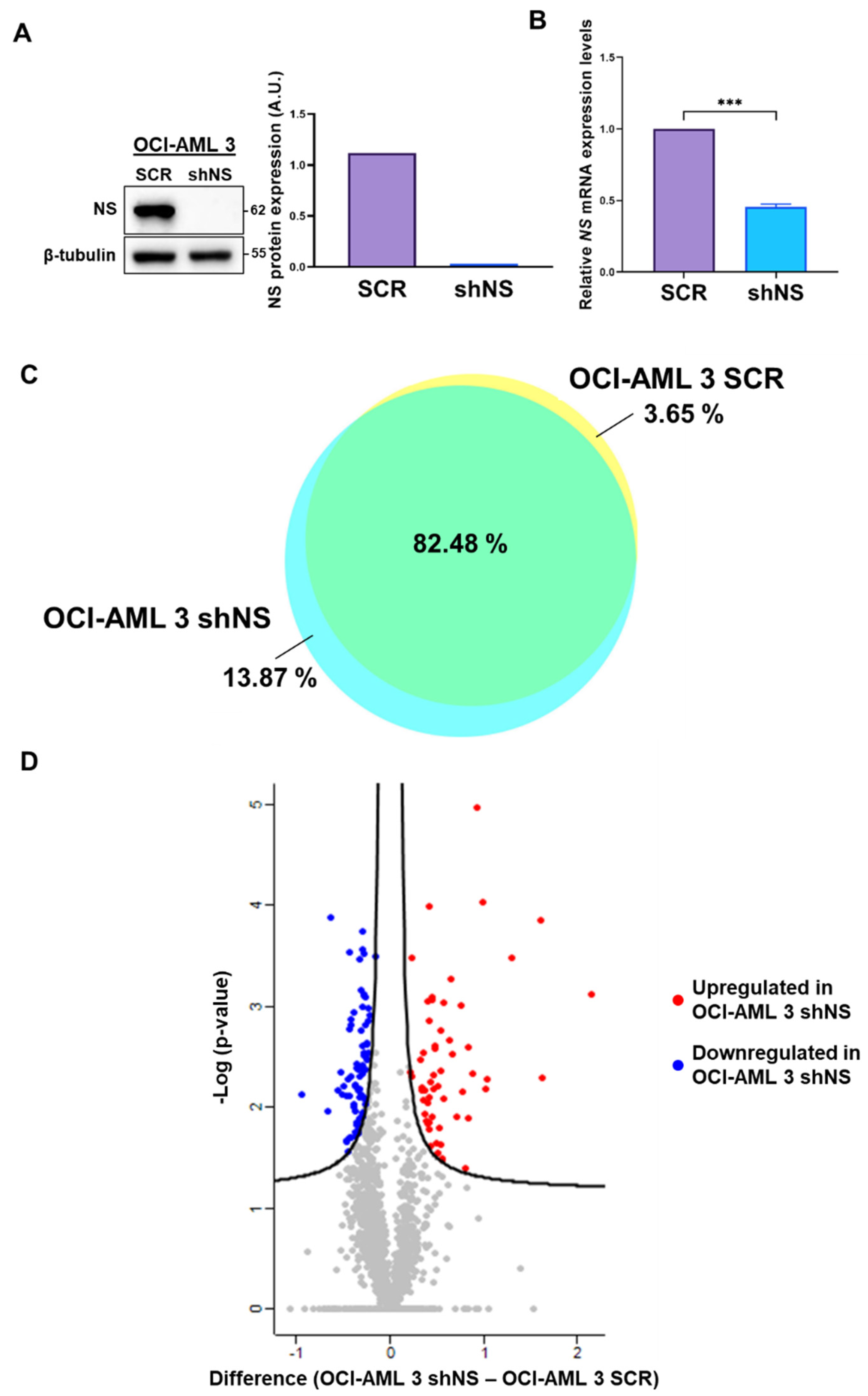 IJMS | Free Full-Text | Proteomic Investigation of the Role of Nucleostemin  in Nucleophosmin-Mutated OCI-AML 3 Cell Line