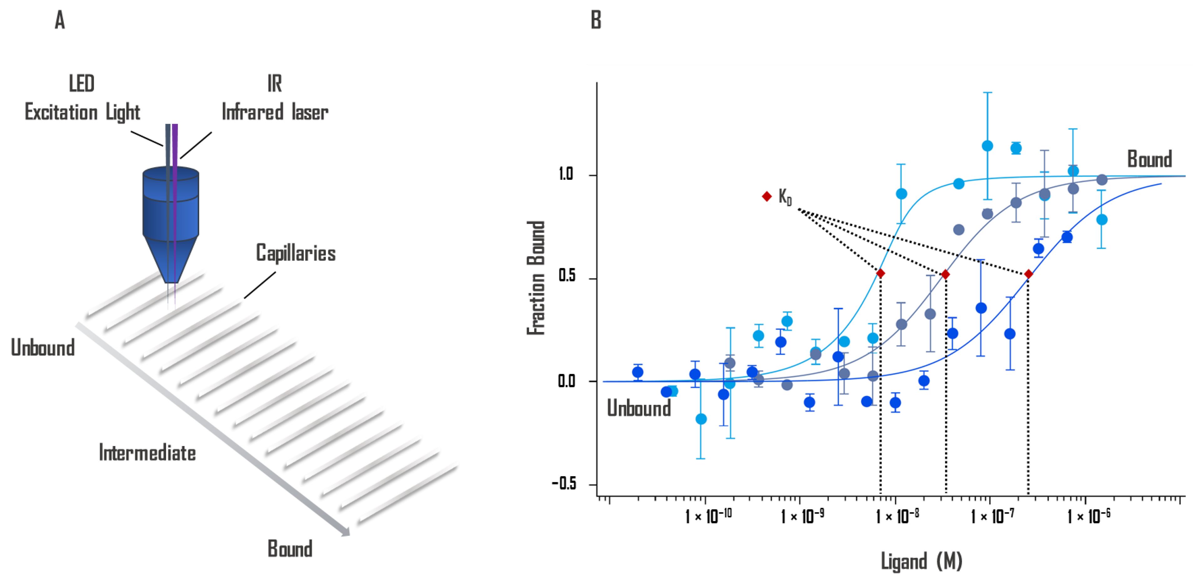 Ijms 23 07672 g002 Ijms 23 07672 g002