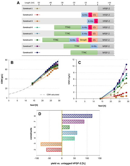 IJMS | Free Full-Text | Fusion Tag Design Influences Soluble Recombinant  Protein Production in Escherichia coli