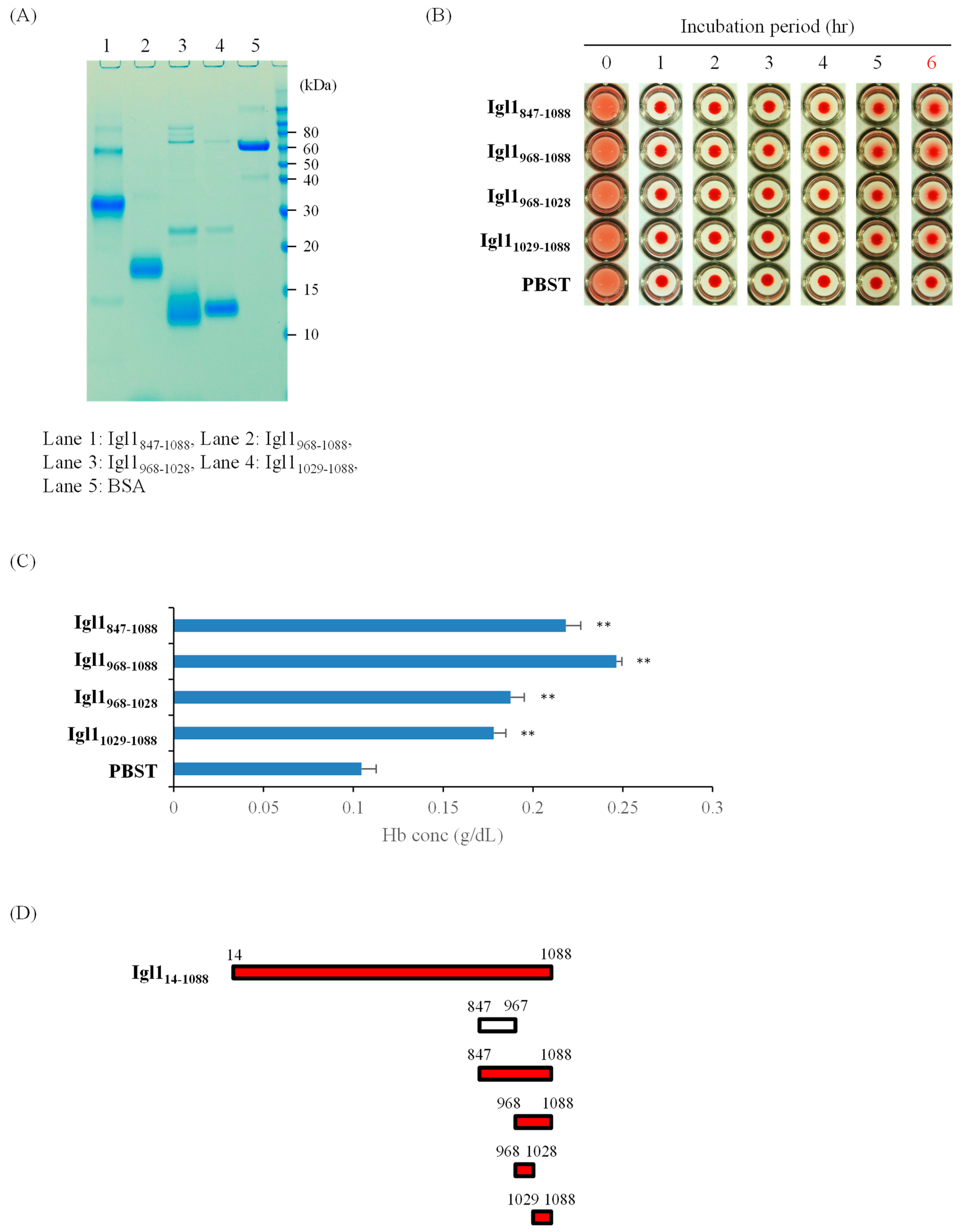 Ijms 23 07700 g002 Ijms 23 07700 g002