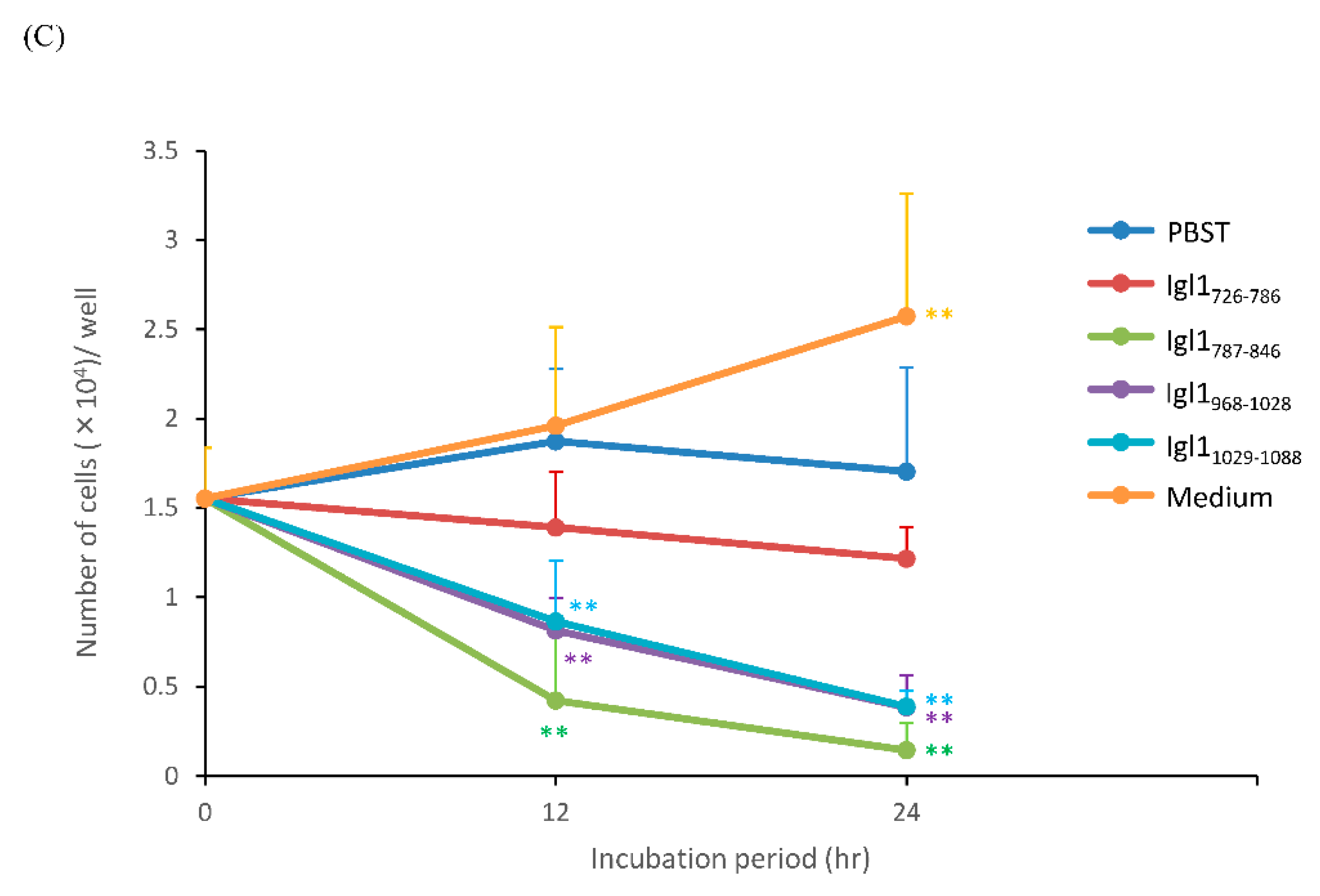 Ijms 23 07700 g004b Ijms 23 07700 g004b