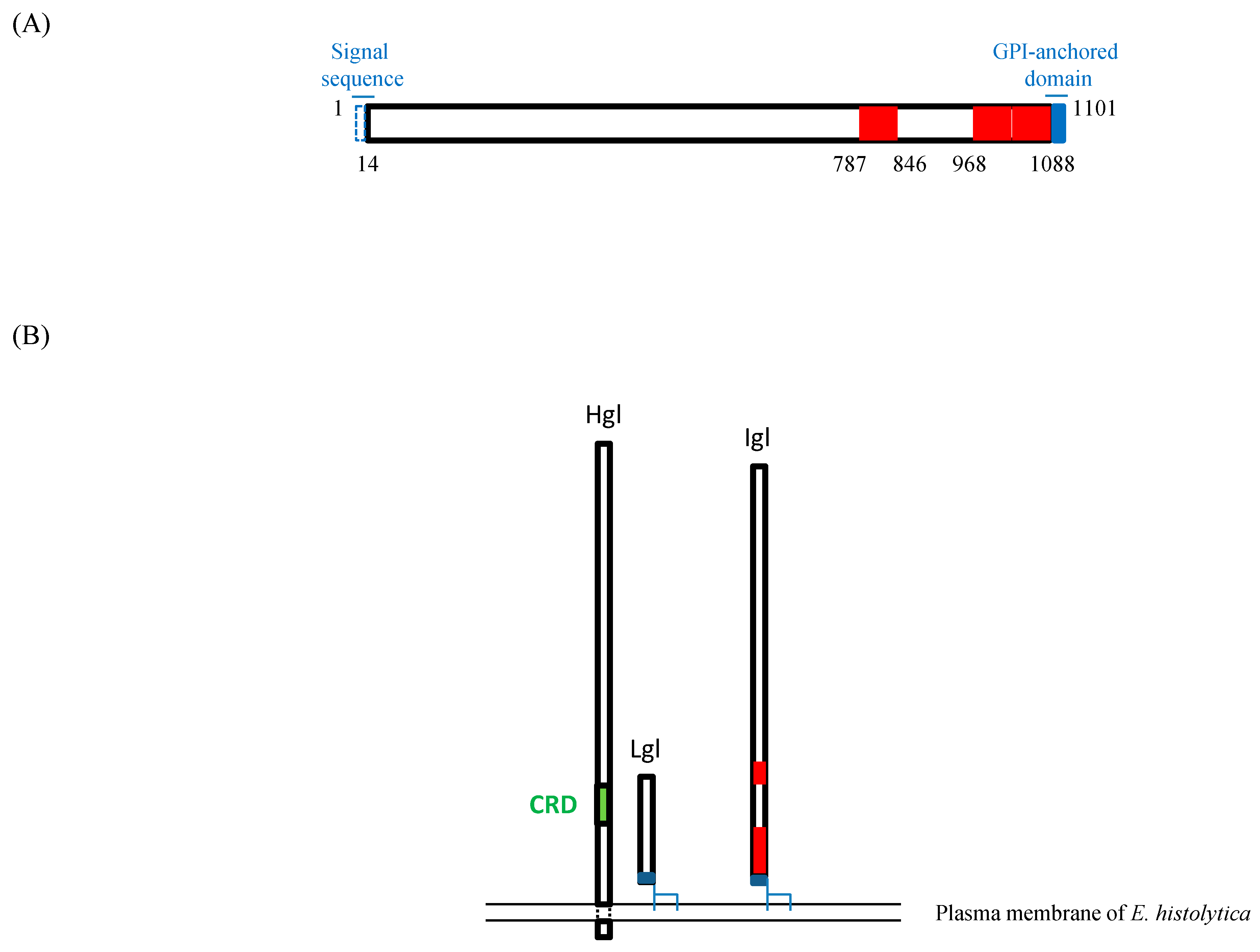 Ijms 23 07700 g005 Ijms 23 07700 g005