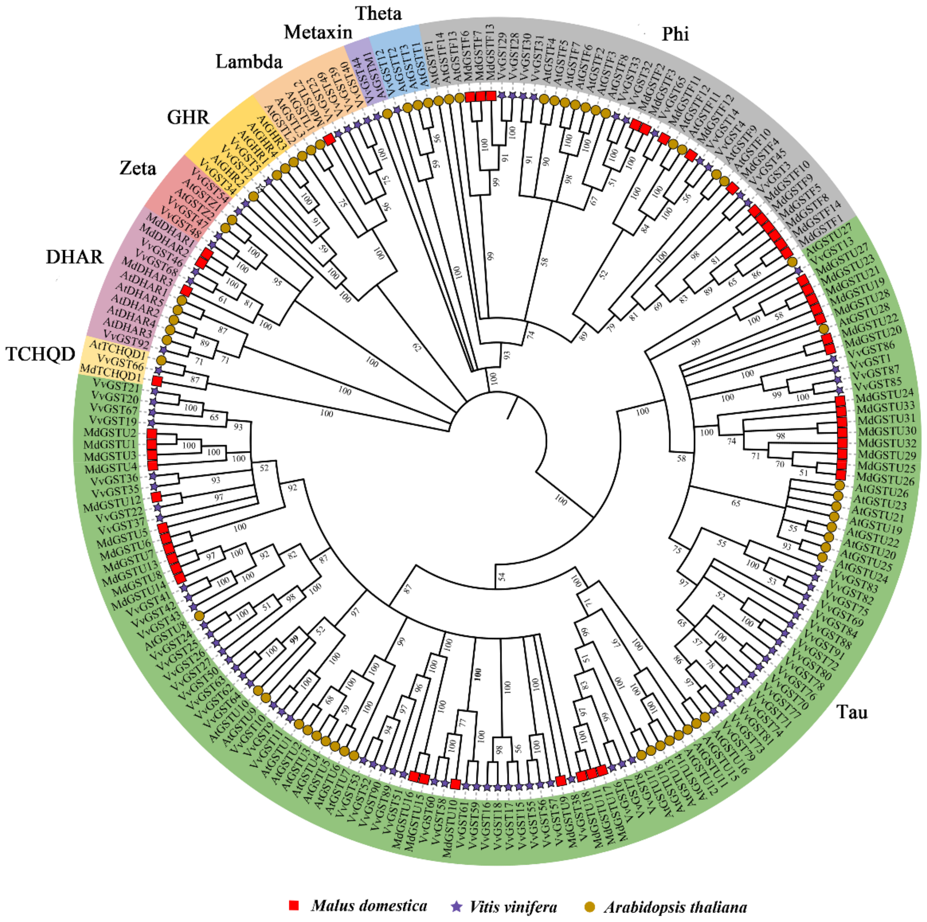 Ijms 23 07717 g001 Ijms 23 07717 g001