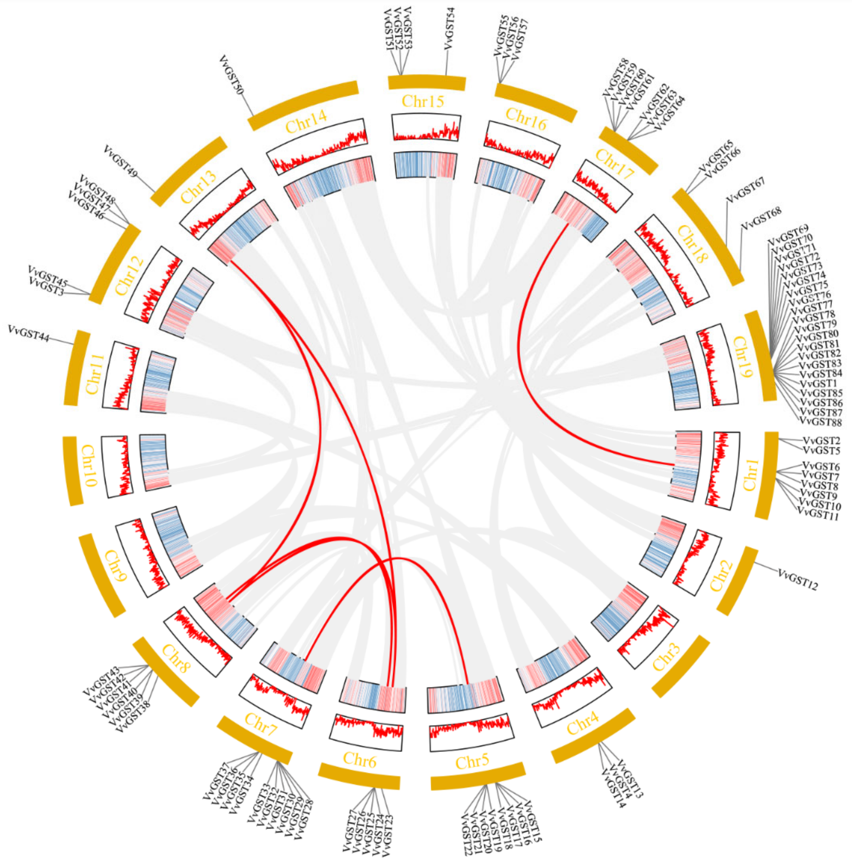Ijms 23 07717 g003 Ijms 23 07717 g003