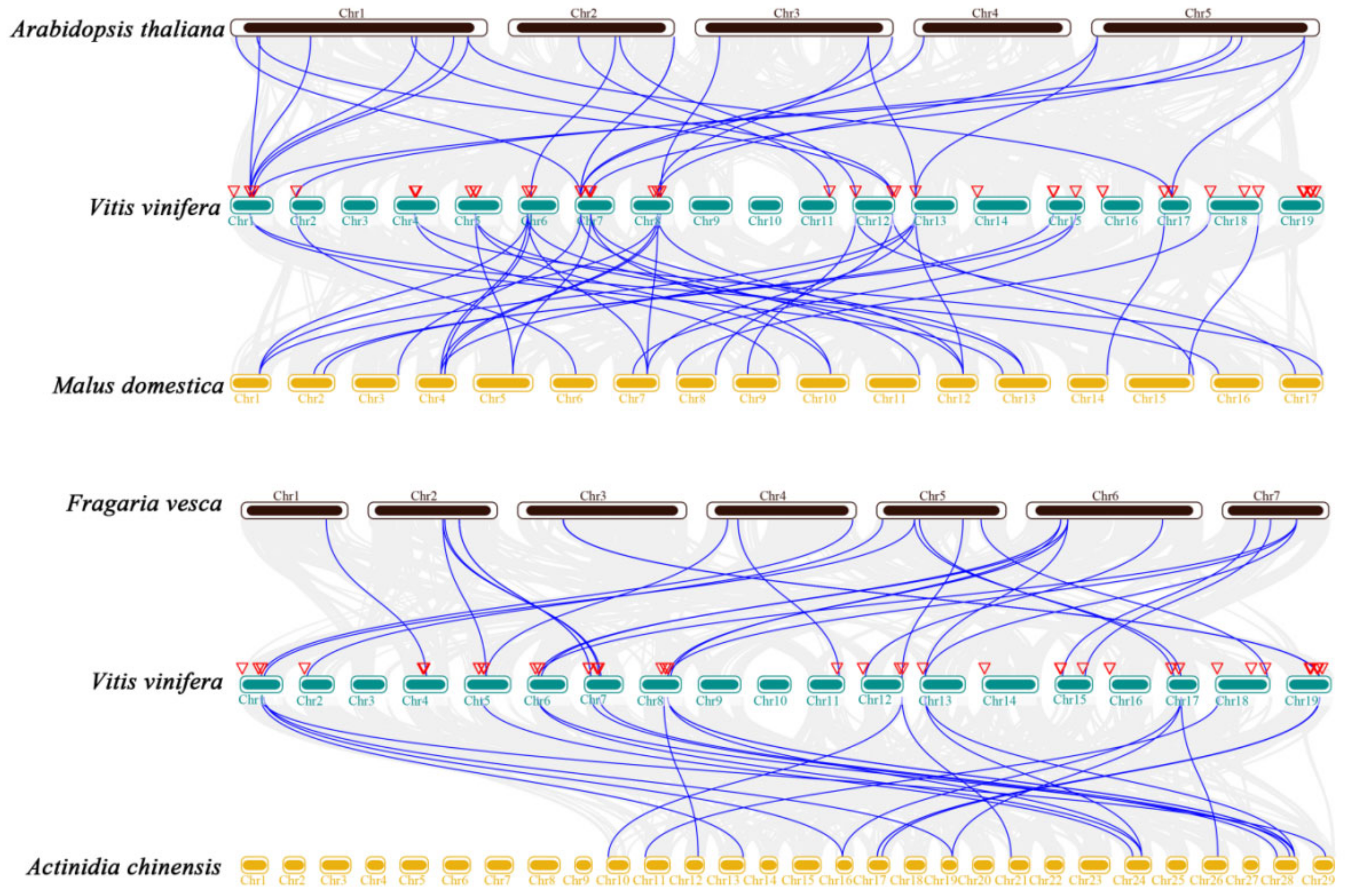 Ijms 23 07717 g004 Ijms 23 07717 g004