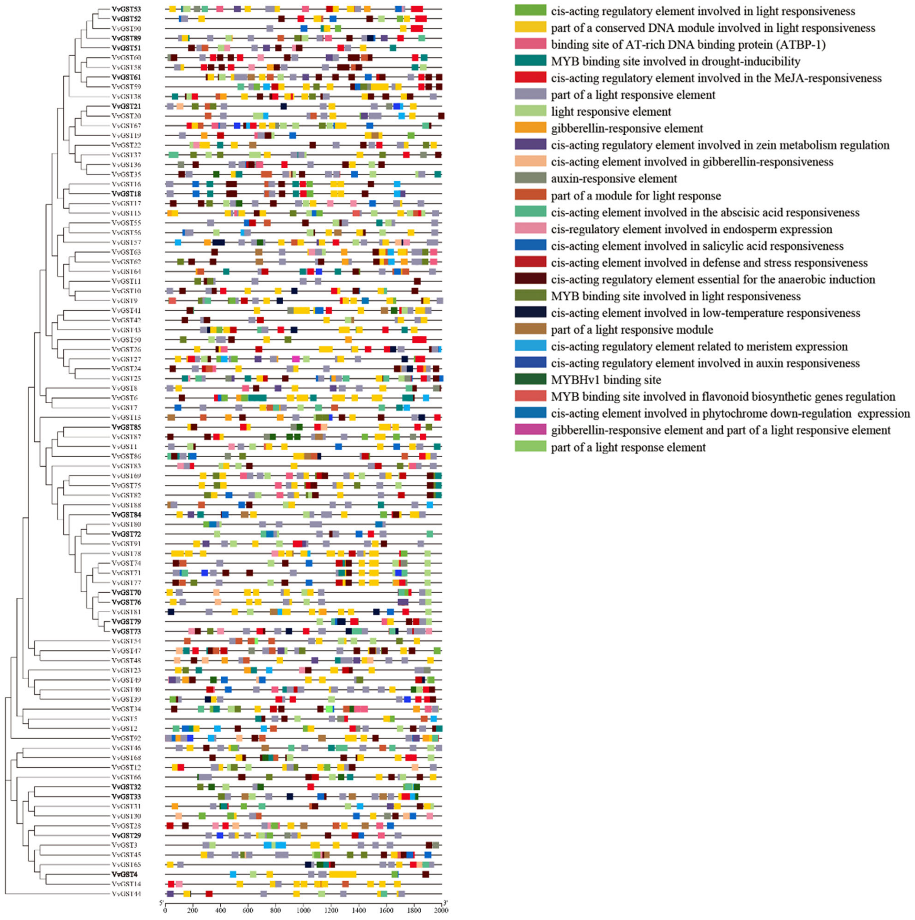 Ijms 23 07717 g006 Ijms 23 07717 g006