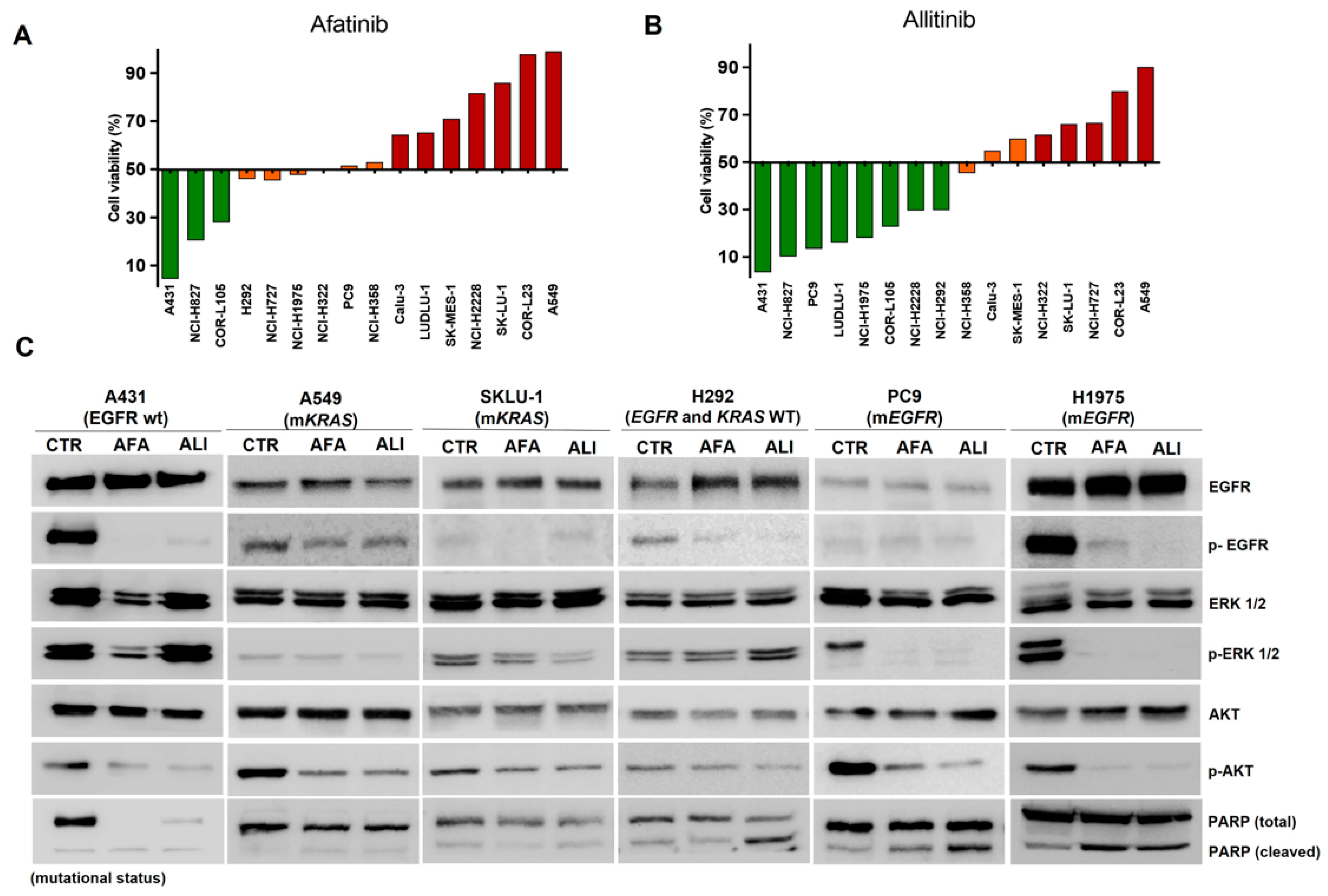 Ijms Free Full Text Efficacy Of Combined Use Of Everolimus And Second Generation Pan Egrf