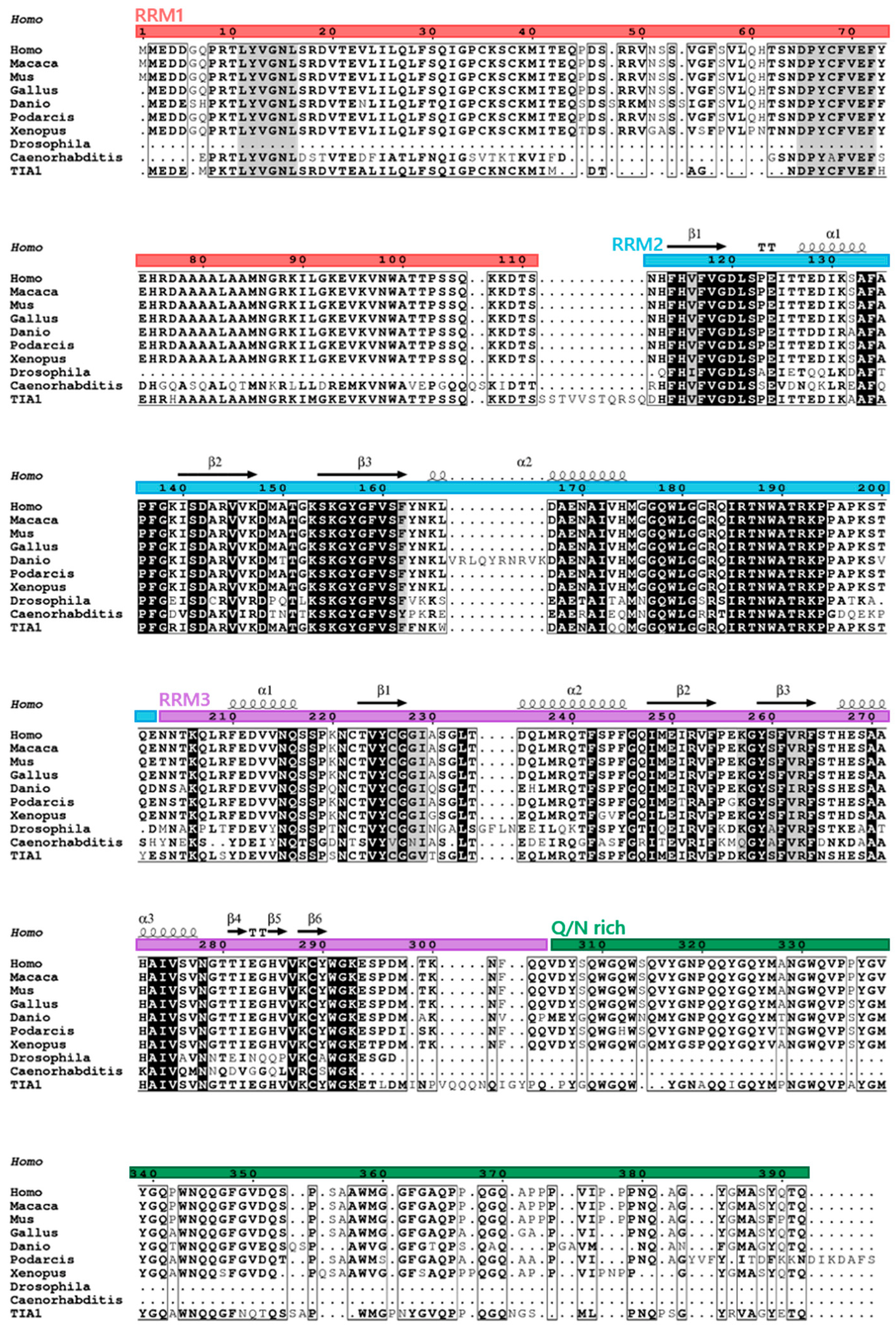 Ijms 23 07836 g003 Ijms 23 07836 g003