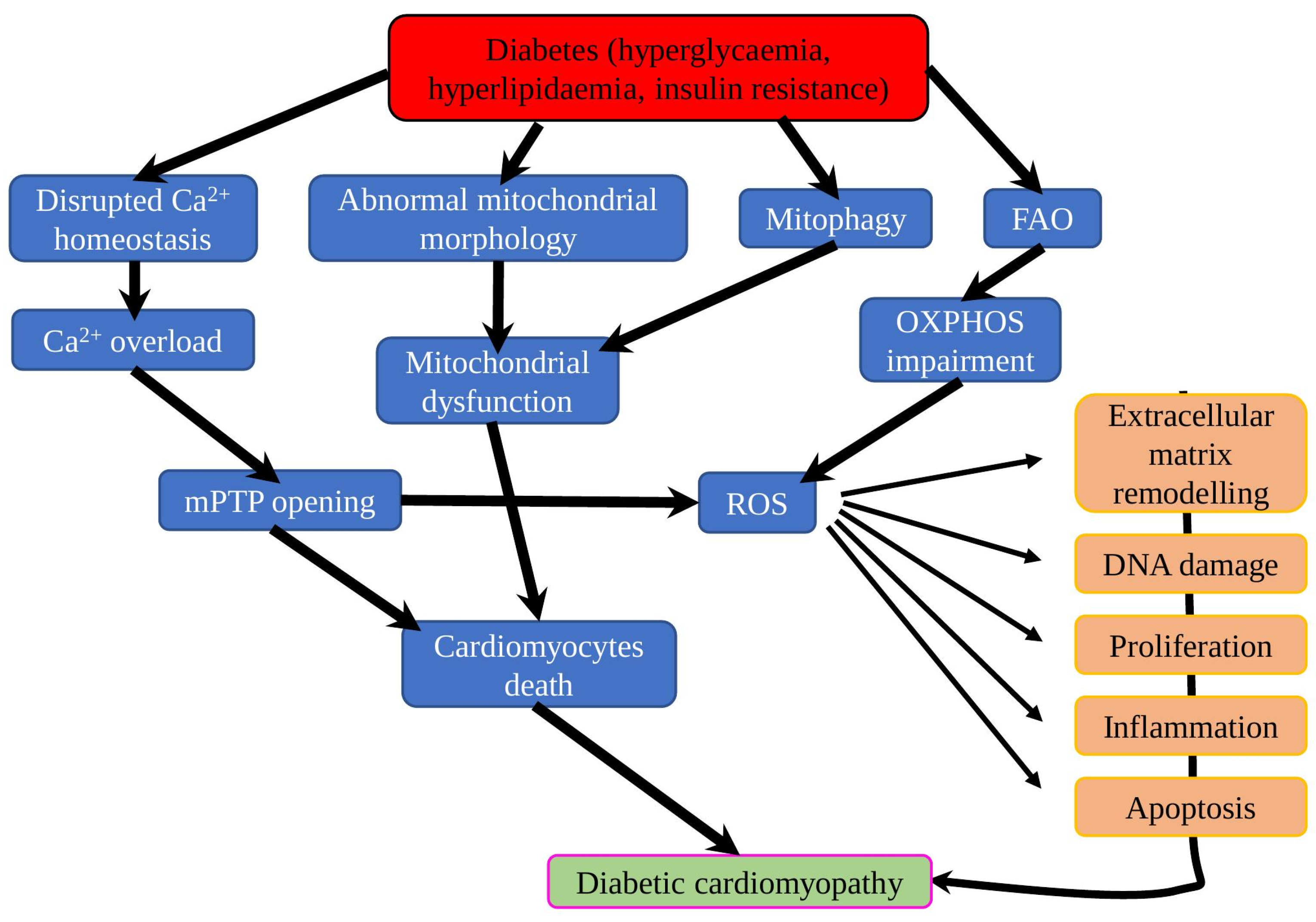 Ijms 23 07863 g003 Ijms 23 07863 g003