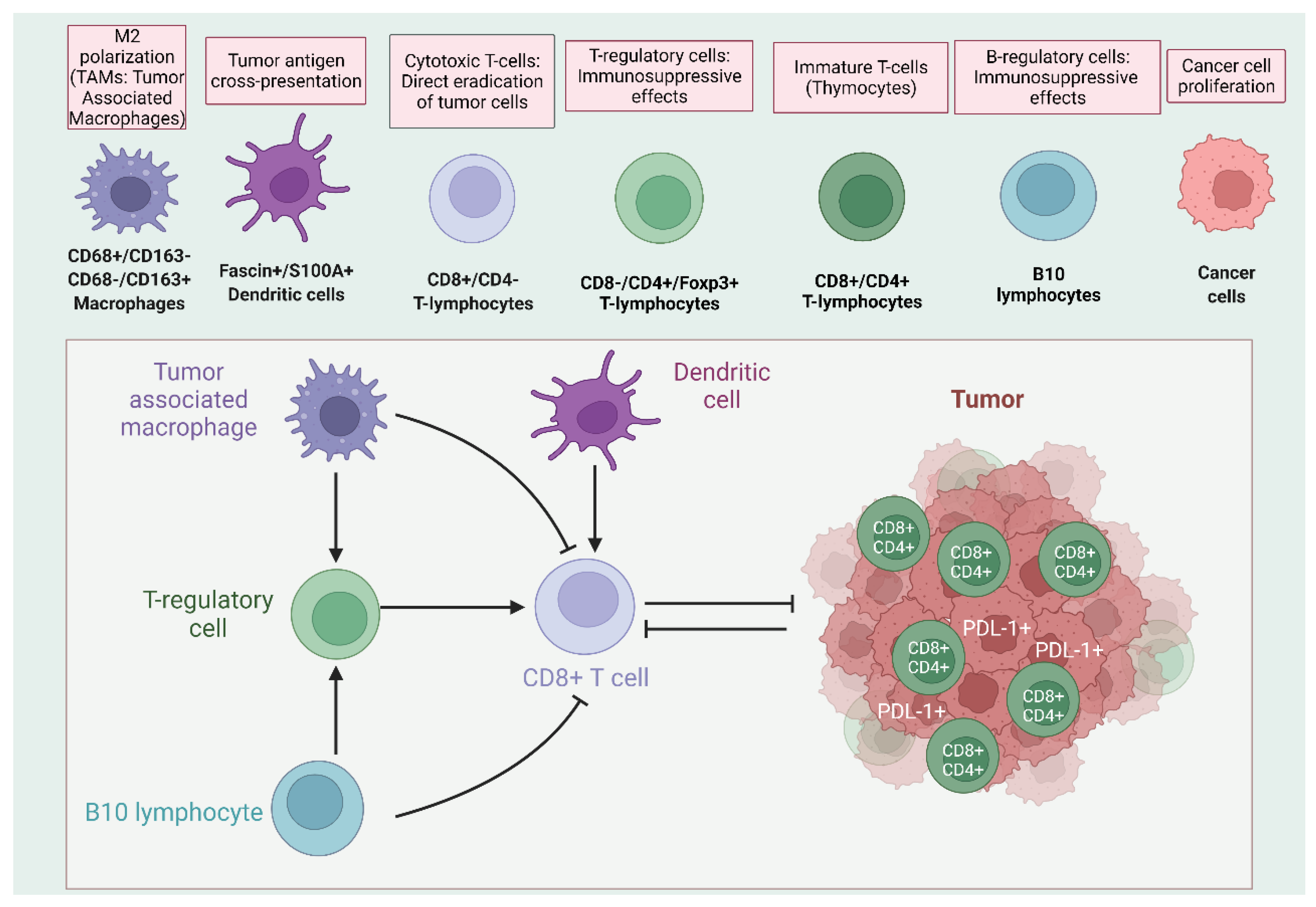 IJMS | Free Full-Text | Unraveling the Immune Microenvironment of Thymic  Epithelial Tumors: Implications for Autoimmunity and Treatment